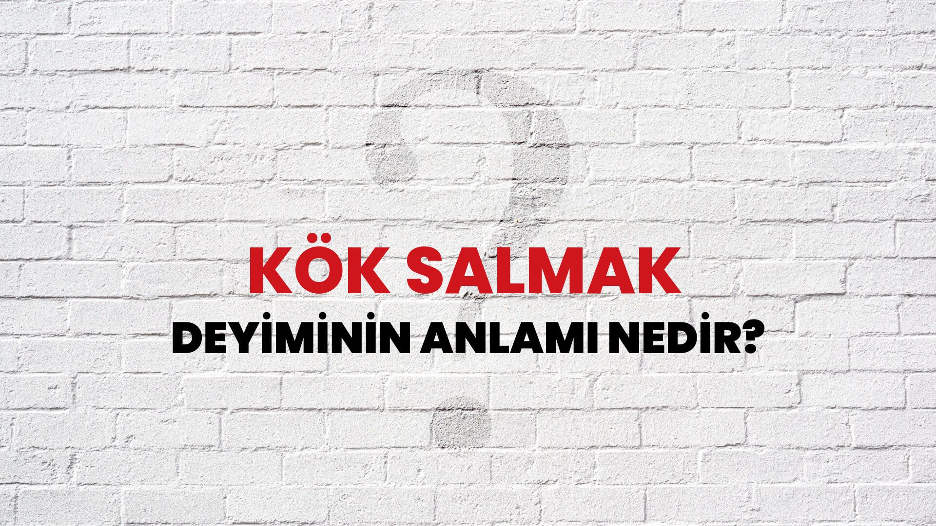 Kök Salmak Deyiminin Anlamı Nedir?