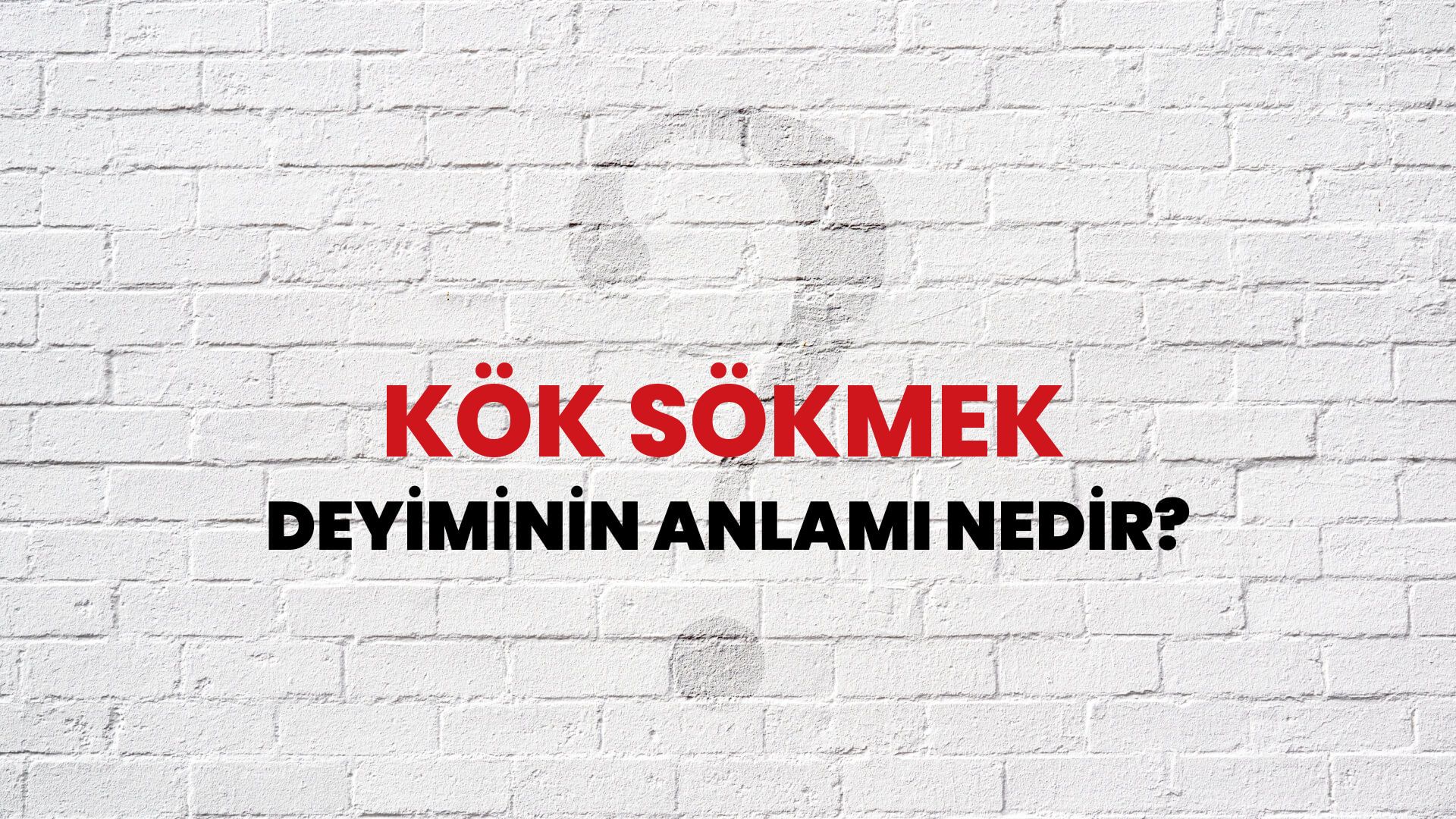 Kök Sökmek Deyiminin Anlamı Nedir?
