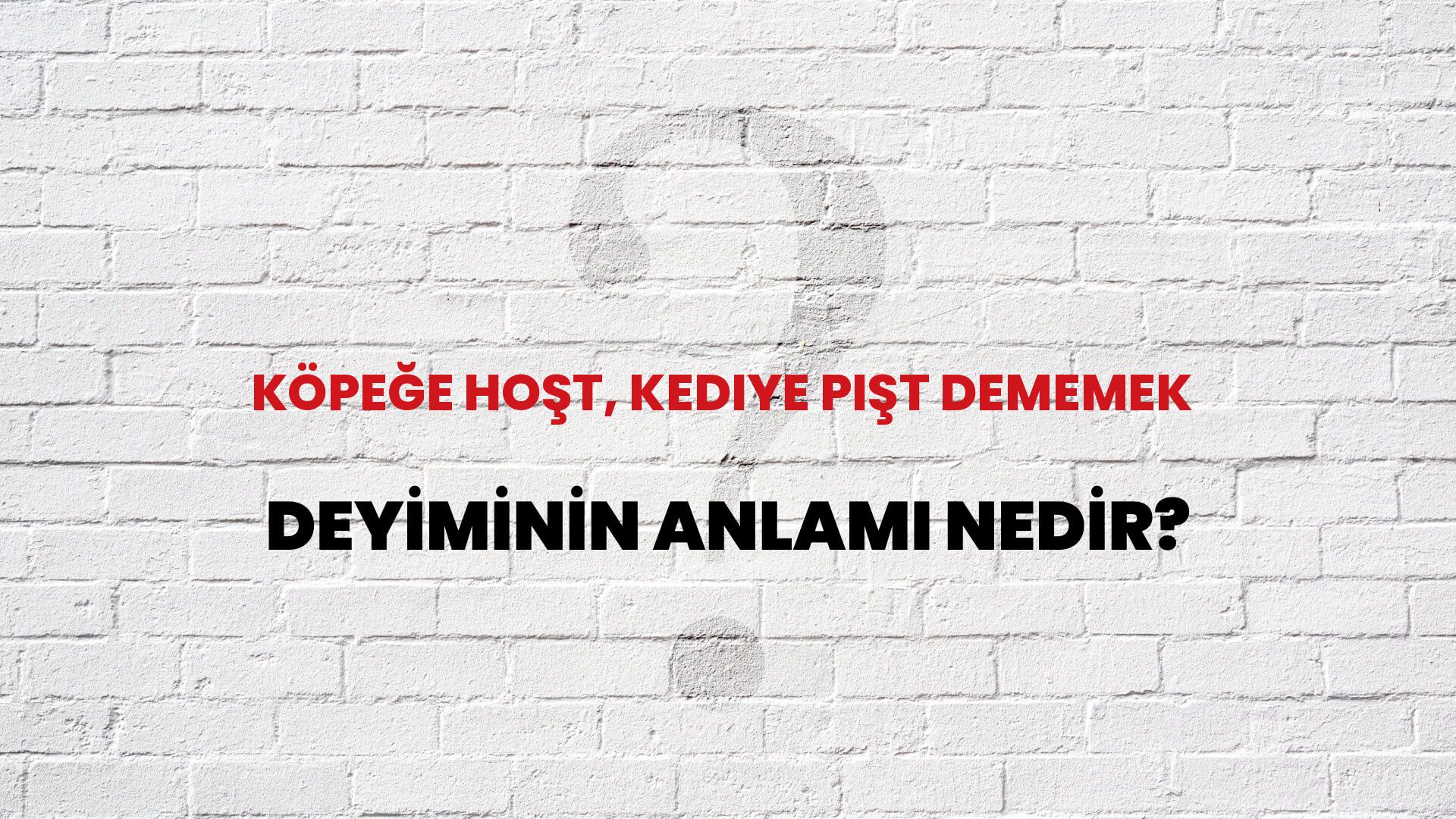 Köpeğe Hoşt, Kediye Pişt Dememek Deyiminin Anlamı Nedir?