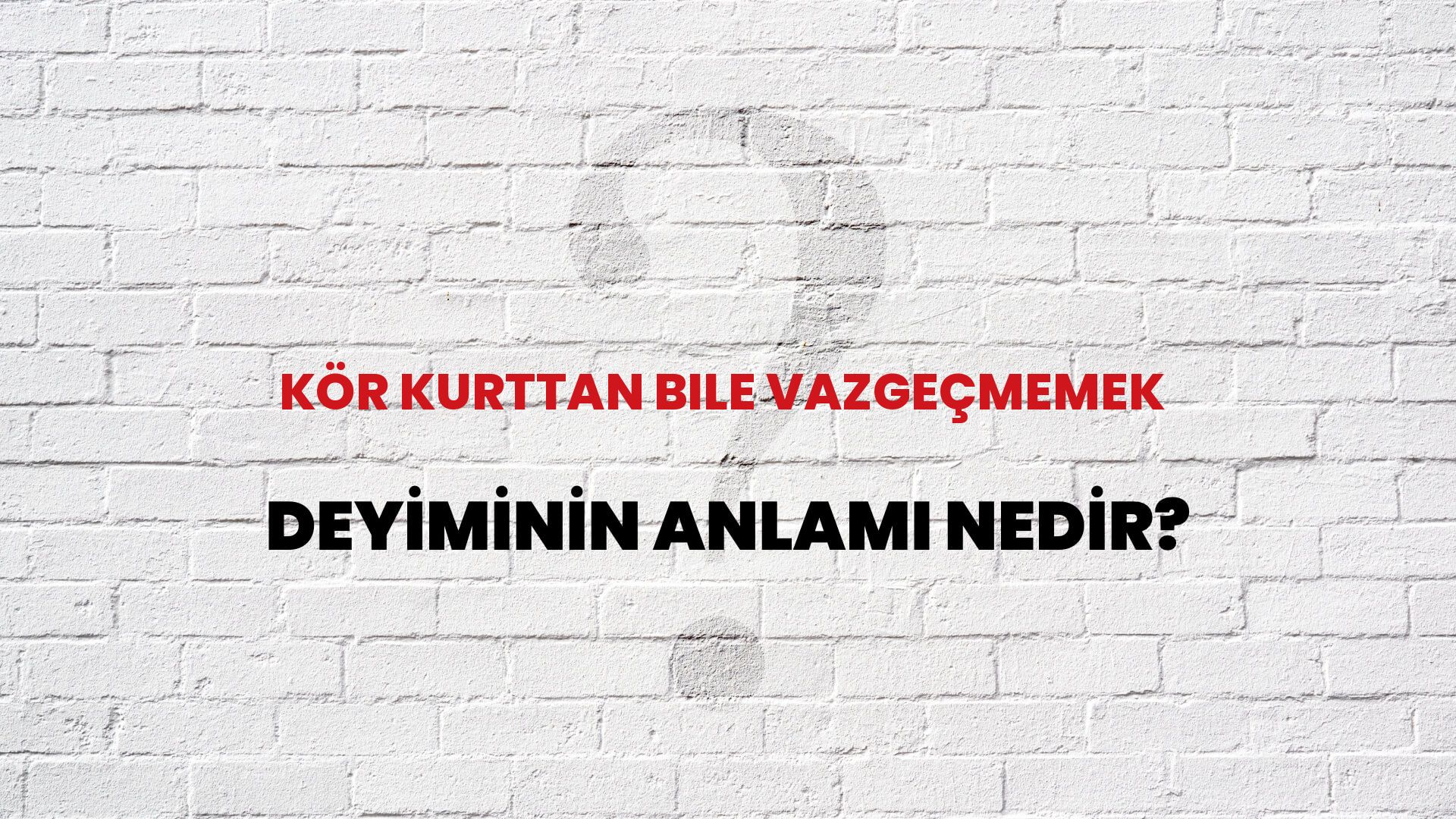 Kör Kurttan Bile Vazgeçmemek Deyiminin Anlamı Nedir?