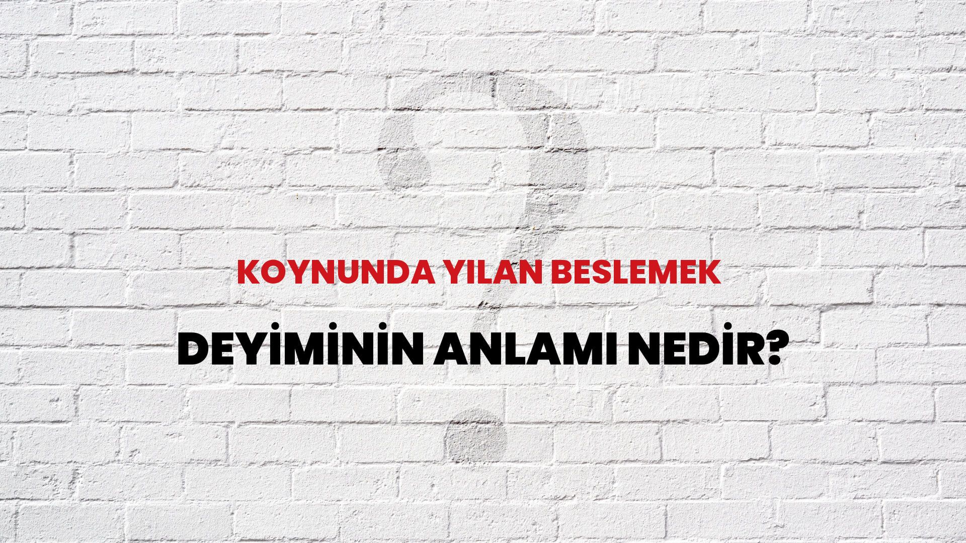 Koynunda Yılan Beslemek Deyiminin Anlamı Nedir?