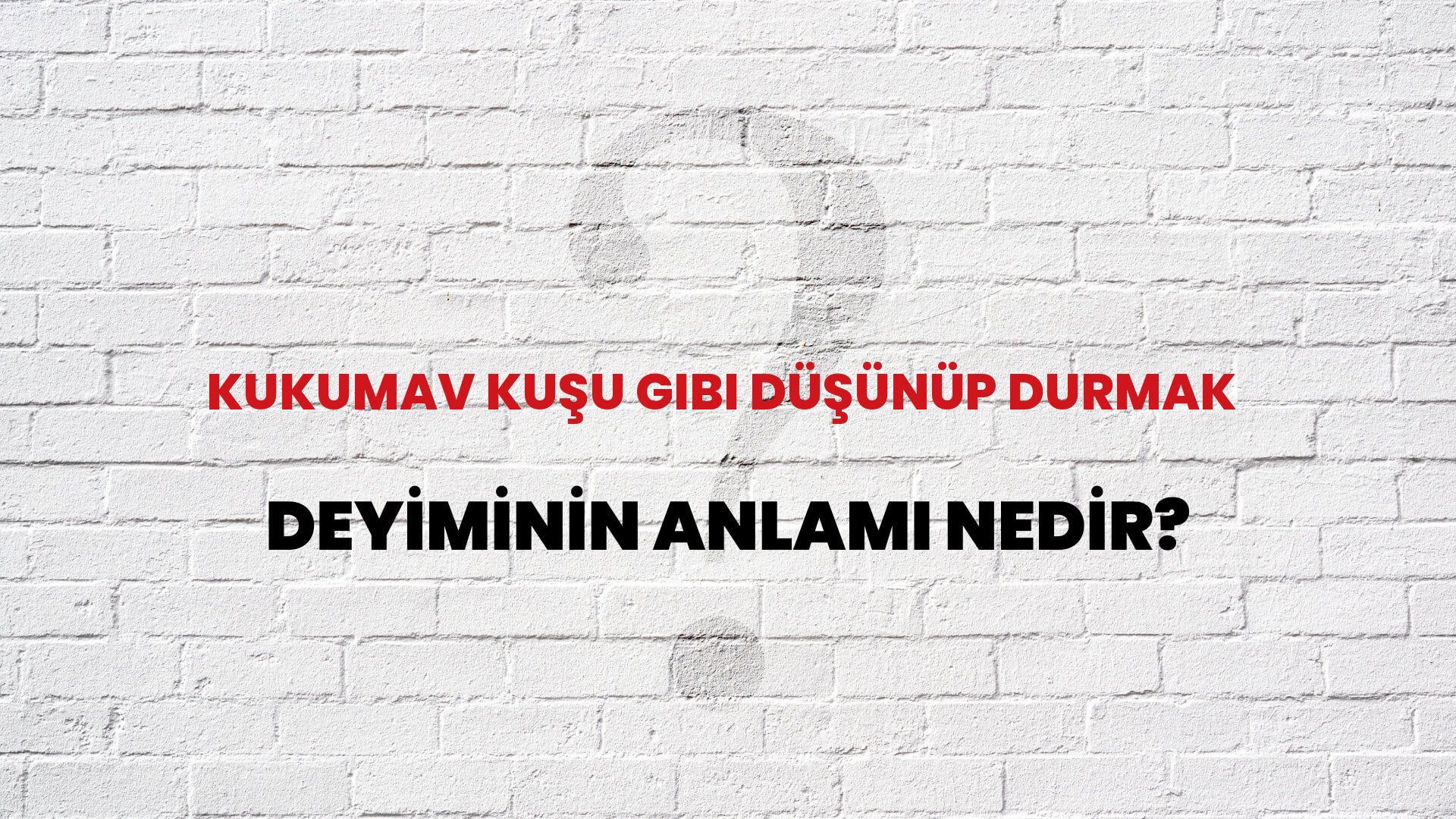 Kukumav Kuşu Gibi Düşünüp Durmak Deyiminin Anlamı Nedir?