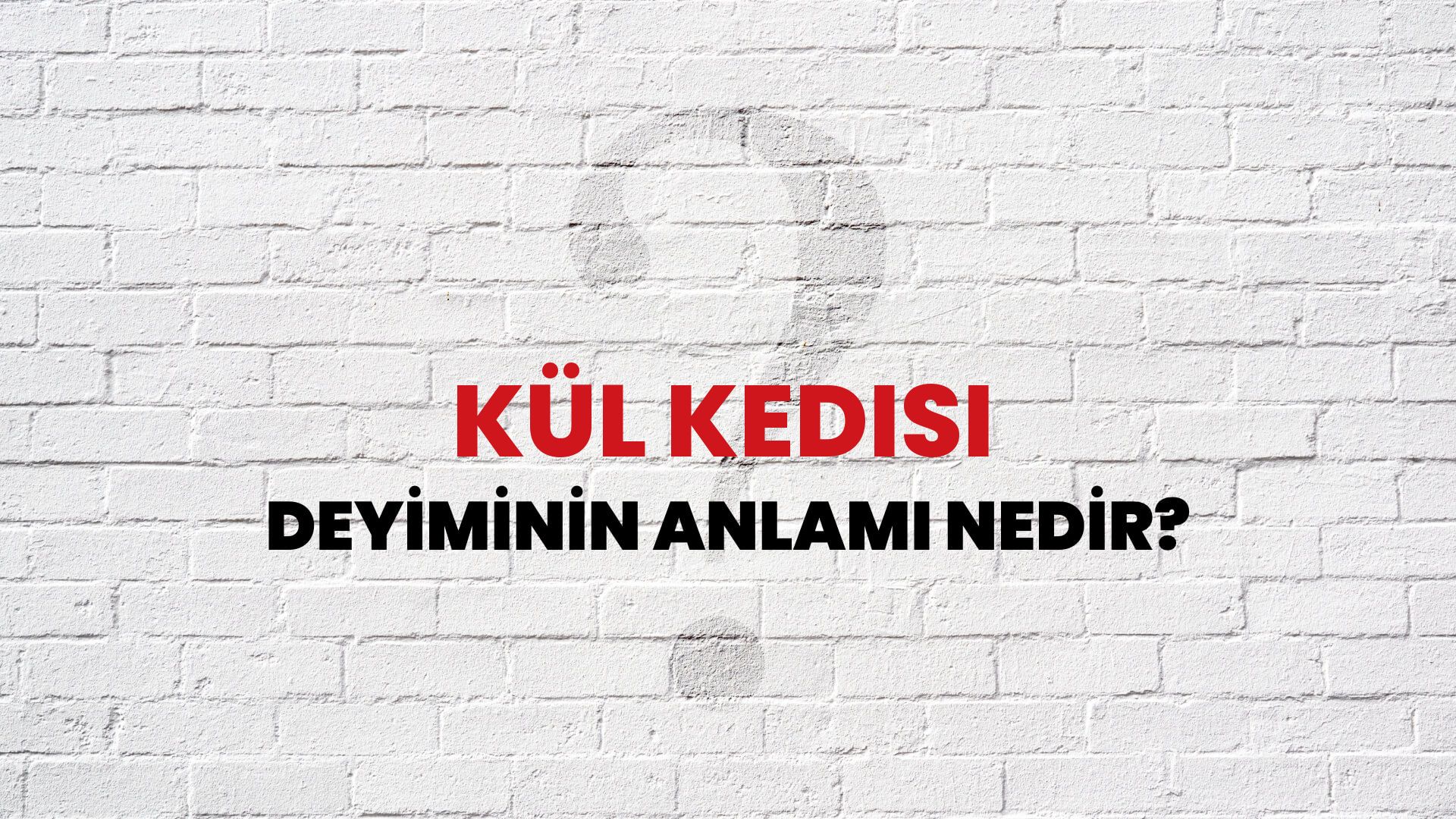 Kül Kedisi Deyiminin Anlamı Nedir?