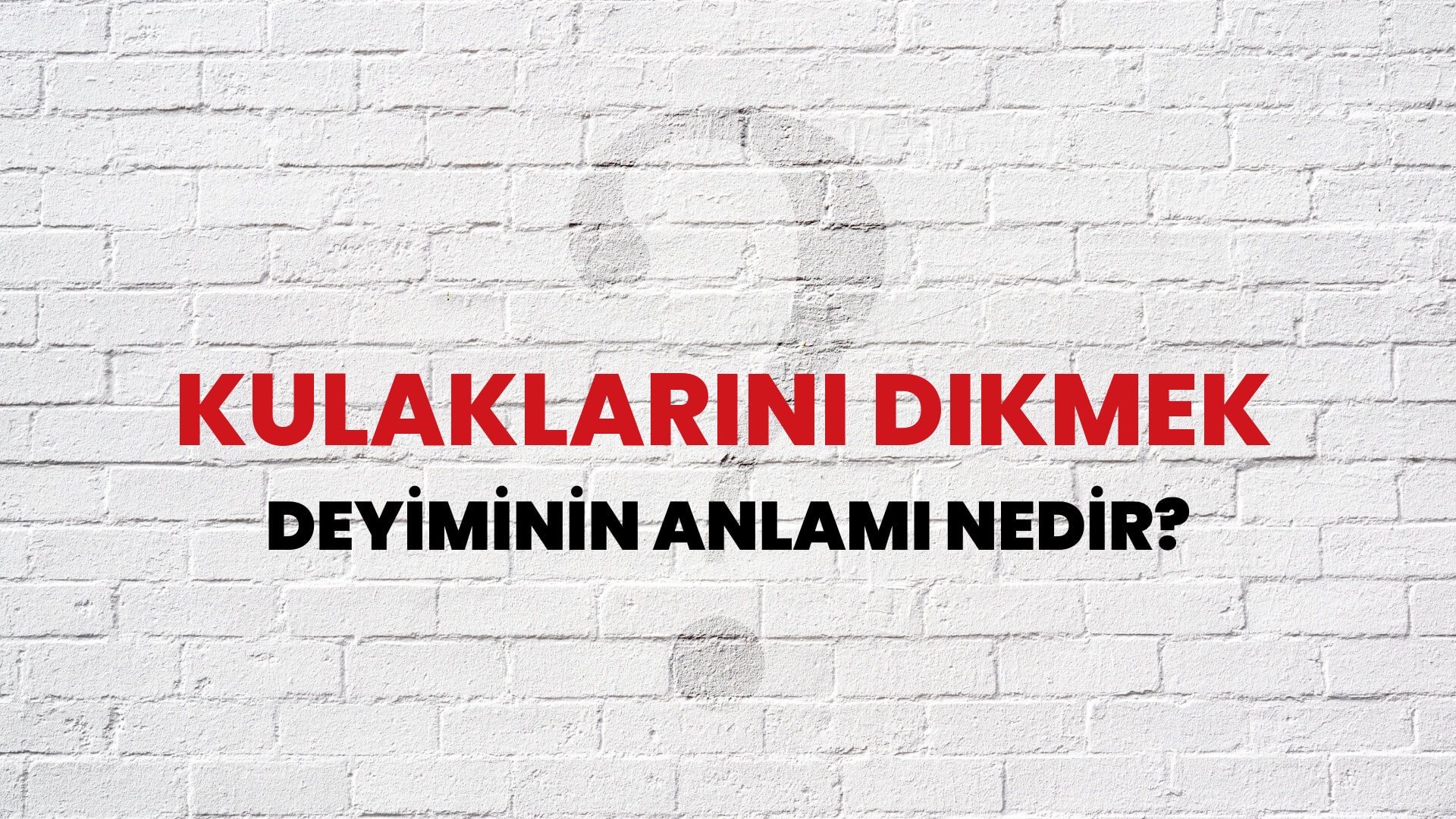 Kulaklarını Dikmek Deyiminin Anlamı Nedir?
