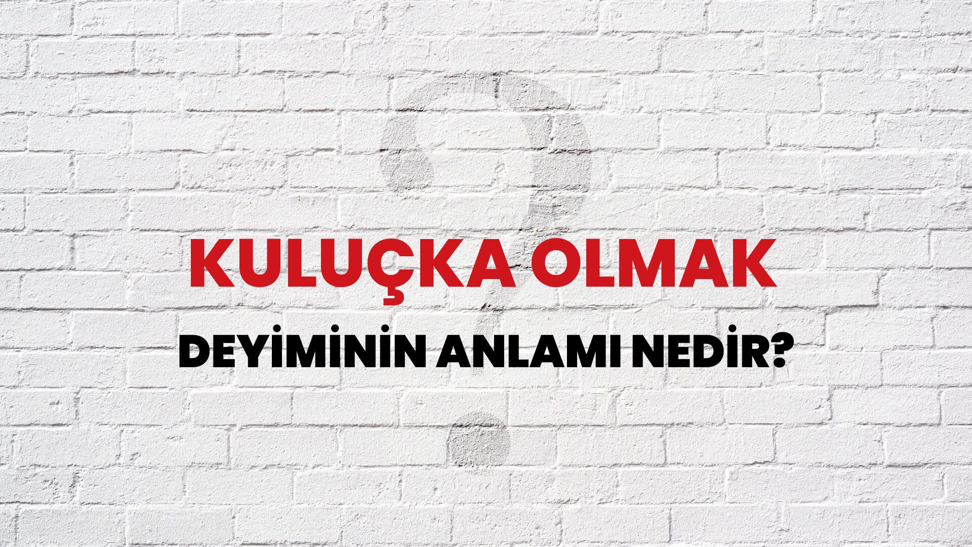Kuluçka Olmak Deyiminin Anlamı Nedir?