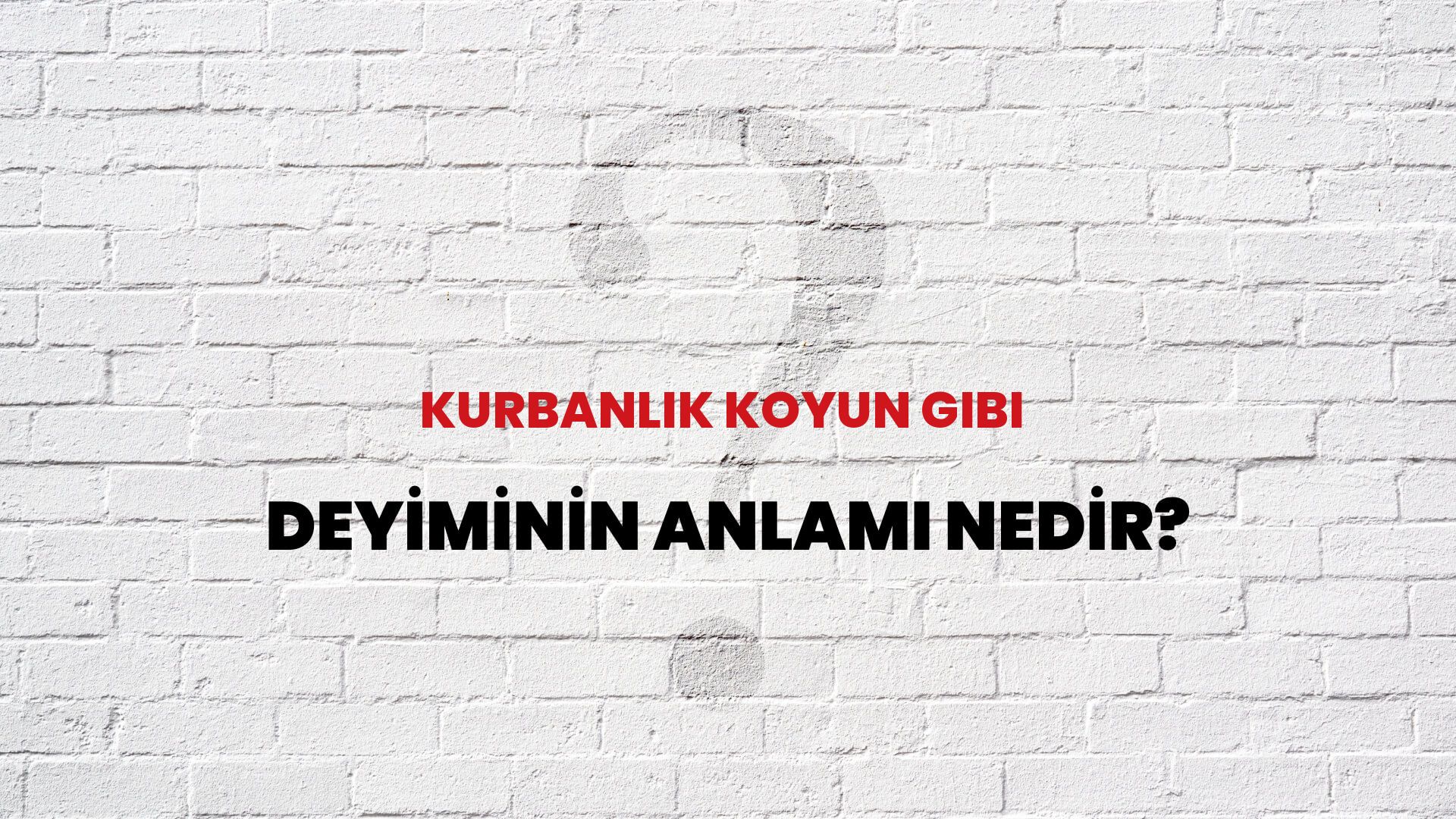 Kurbanlık Koyun Gibi Deyiminin Anlamı Nedir?