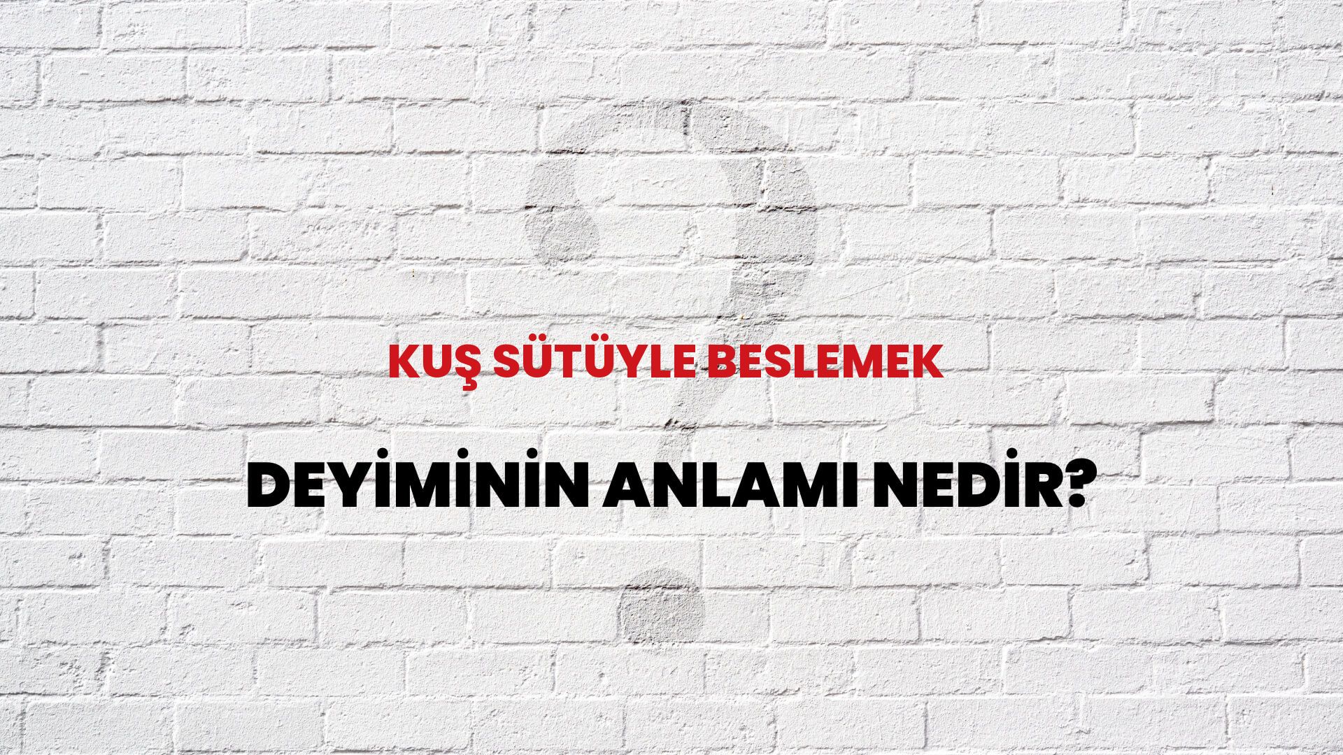Kuş Sütüyle Beslemek Deyiminin Anlamı Nedir?