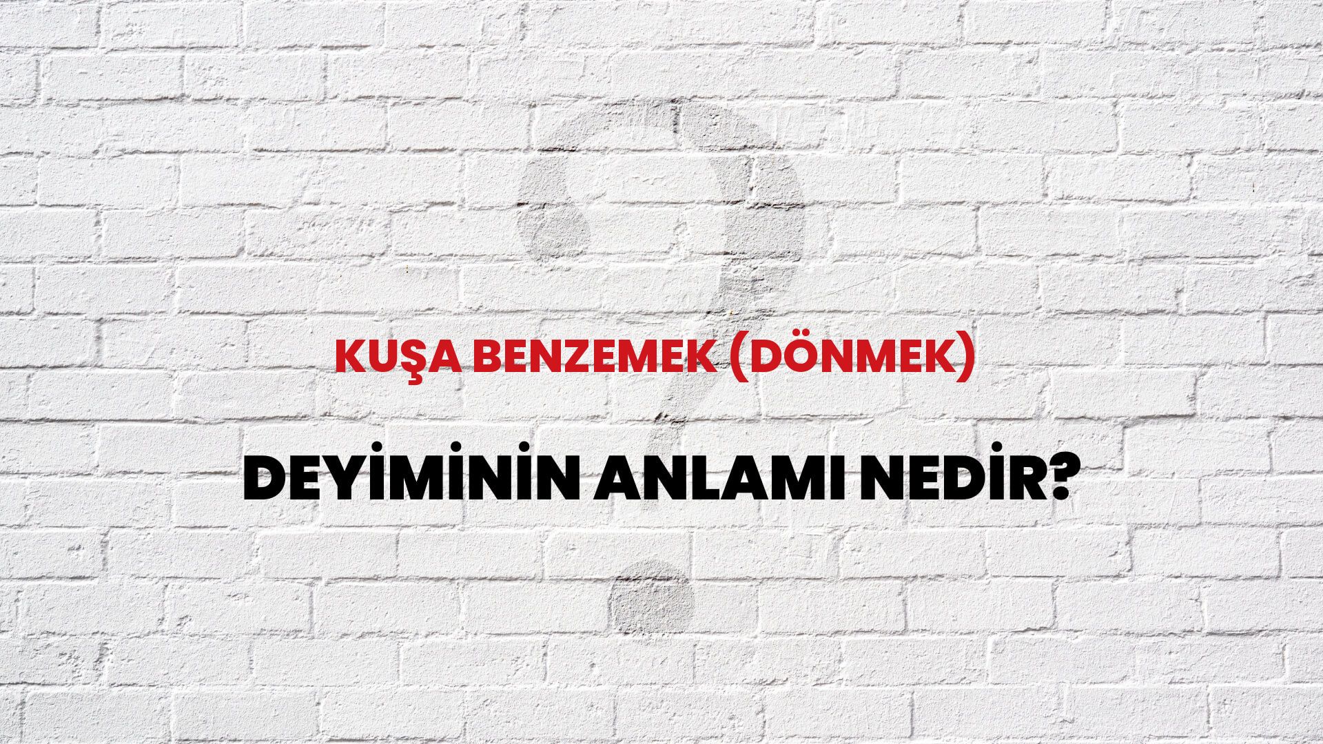 Kuşa Benzemek (Dönmek) Deyiminin Anlamı Nedir?