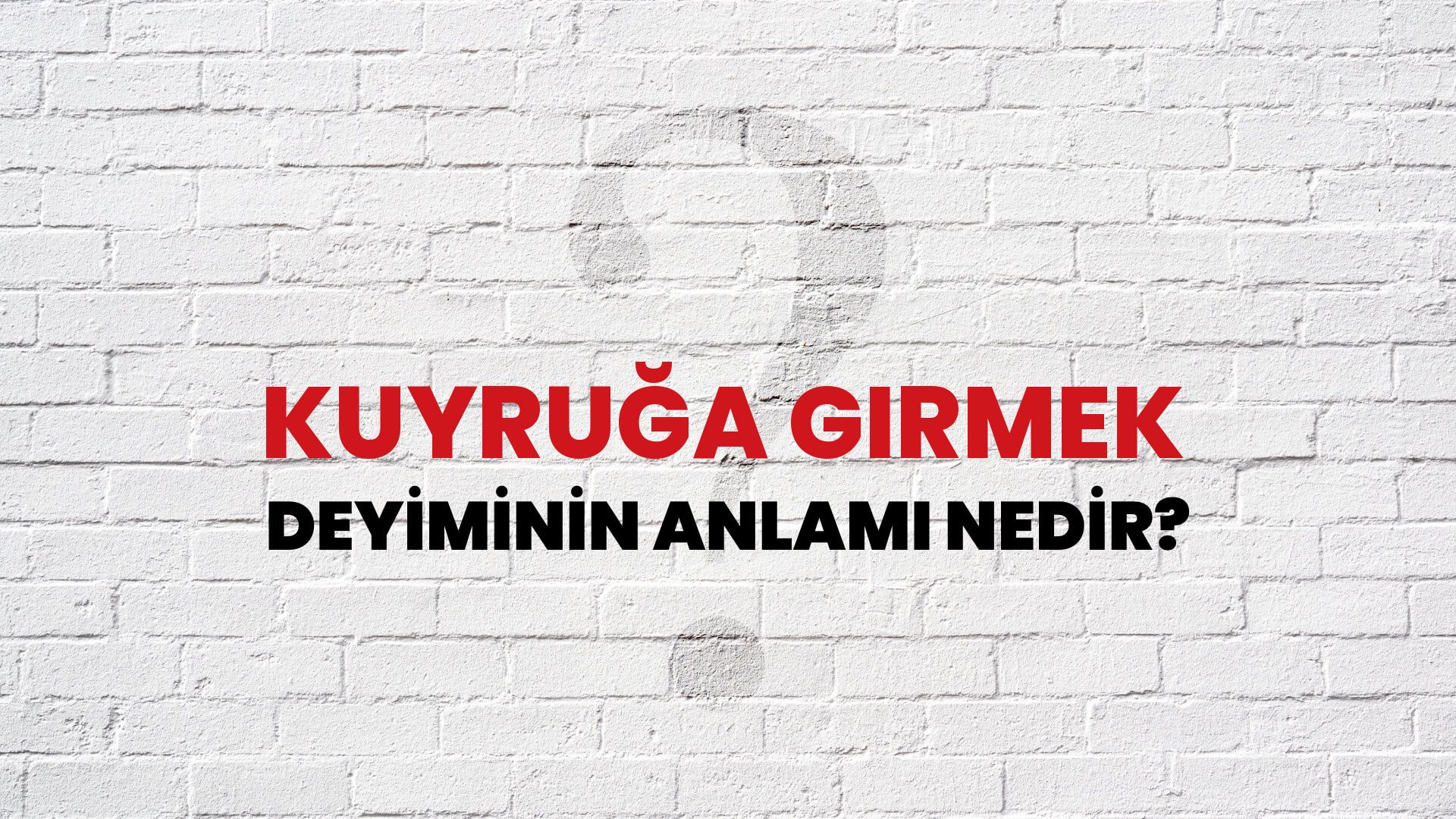 Kuyruğa Girmek Deyiminin Anlamı Nedir?