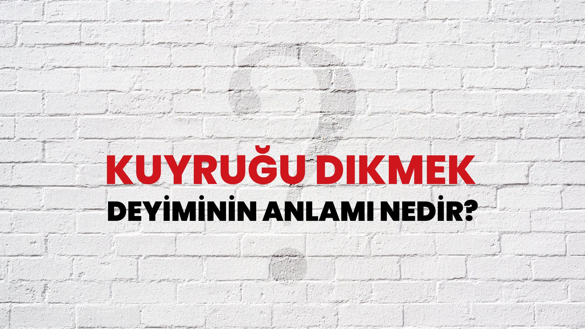 Kuyruğu Dikmek Deyiminin Anlamı Nedir?