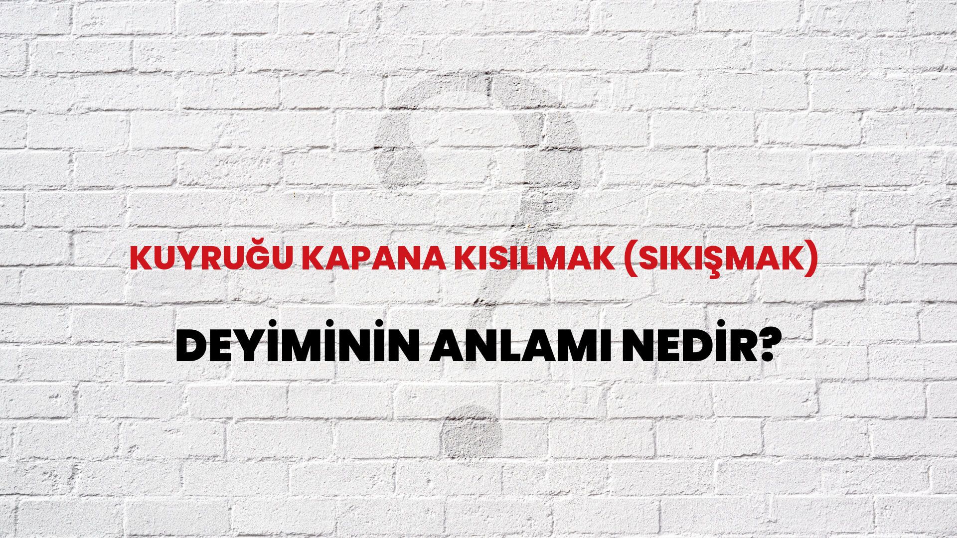 Kuyruğu Kapana Kısılmak (Sıkışmak) Deyiminin Anlamı Nedir?