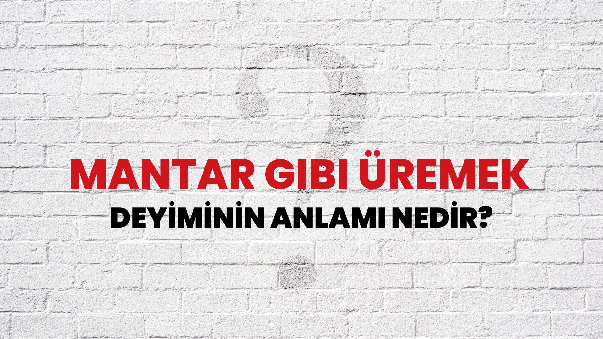 Mantar Gibi Üremek Deyiminin Anlamı Nedir?
