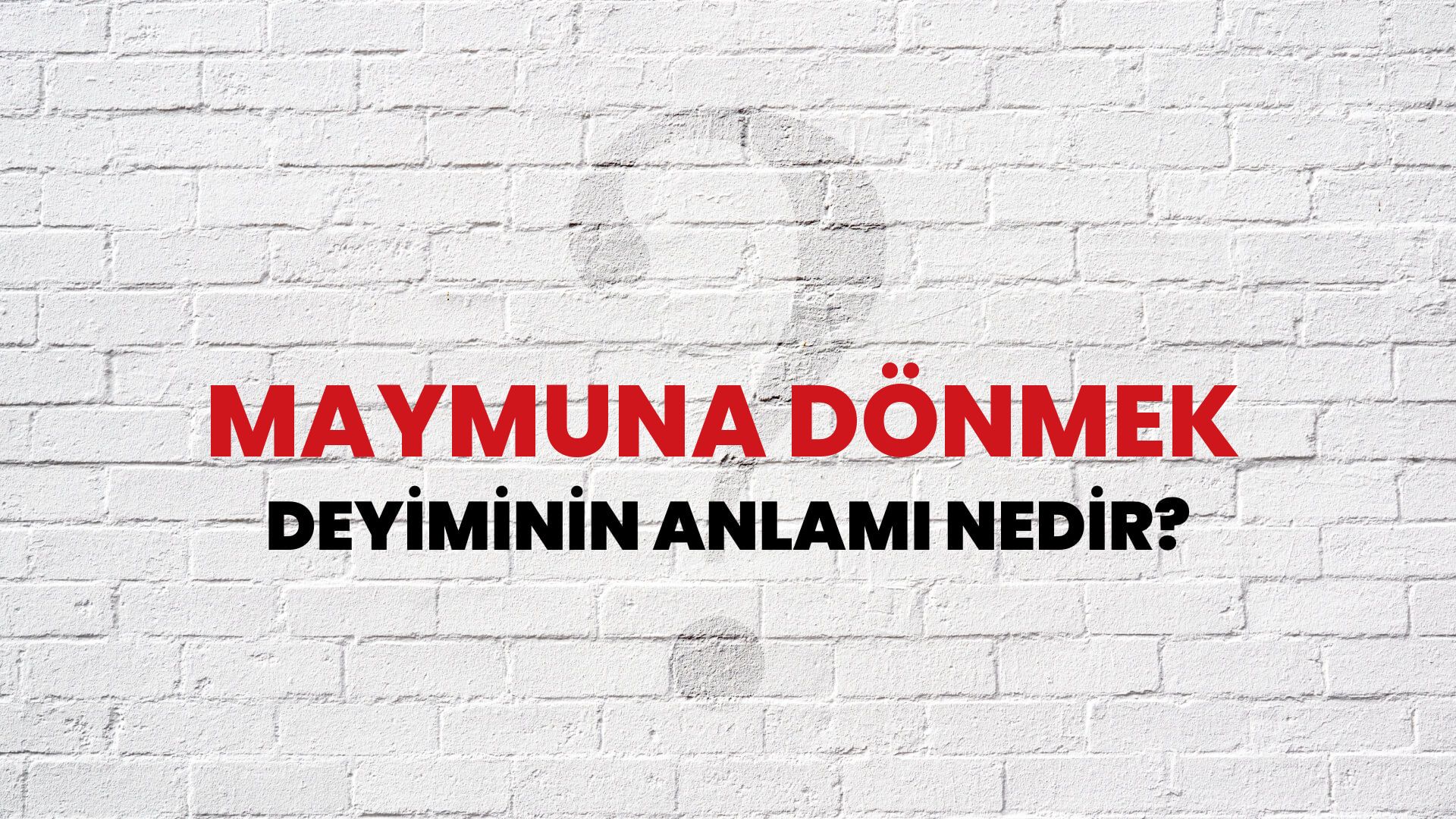 Maymuna Dönmek Deyiminin Anlamı Nedir?
