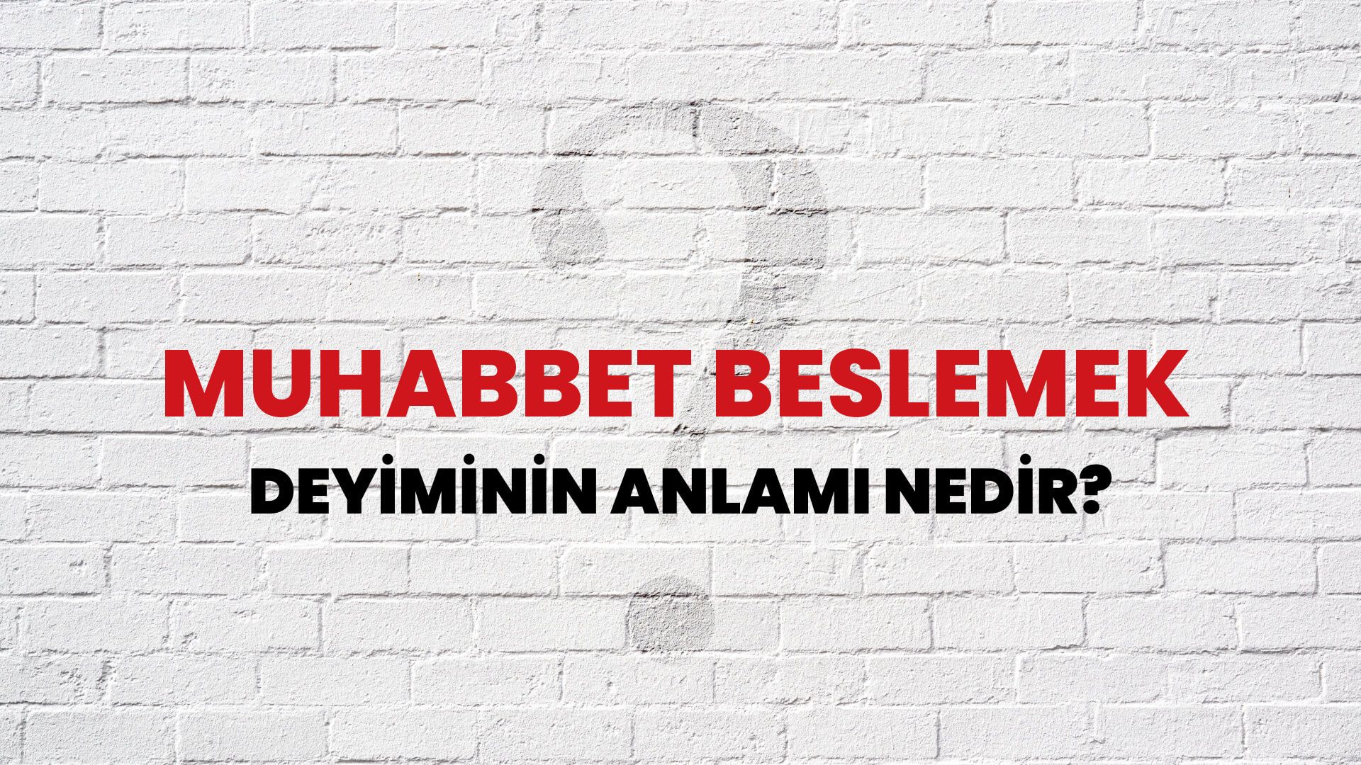 Muhabbet Beslemek Deyiminin Anlamı Nedir?