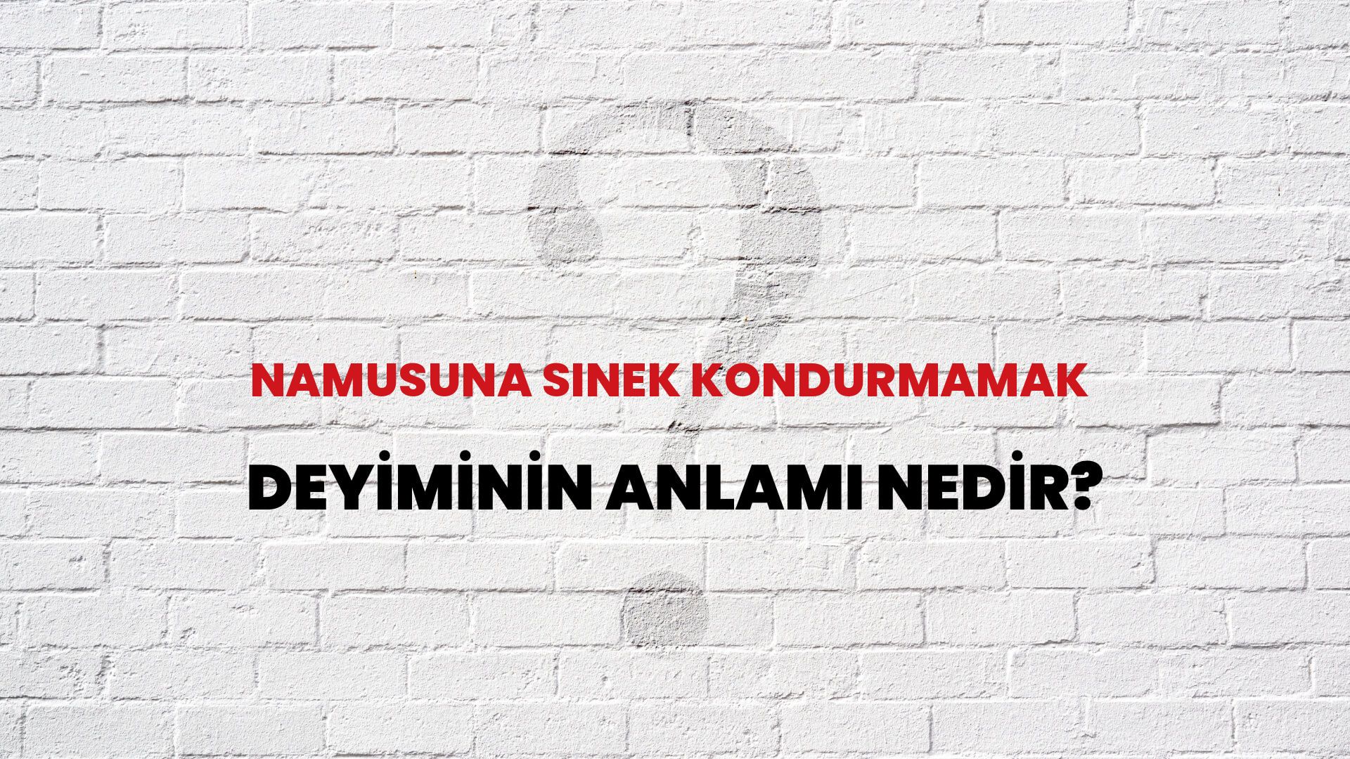 Namusuna Sinek Kondurmamak Deyiminin Anlamı Nedir?