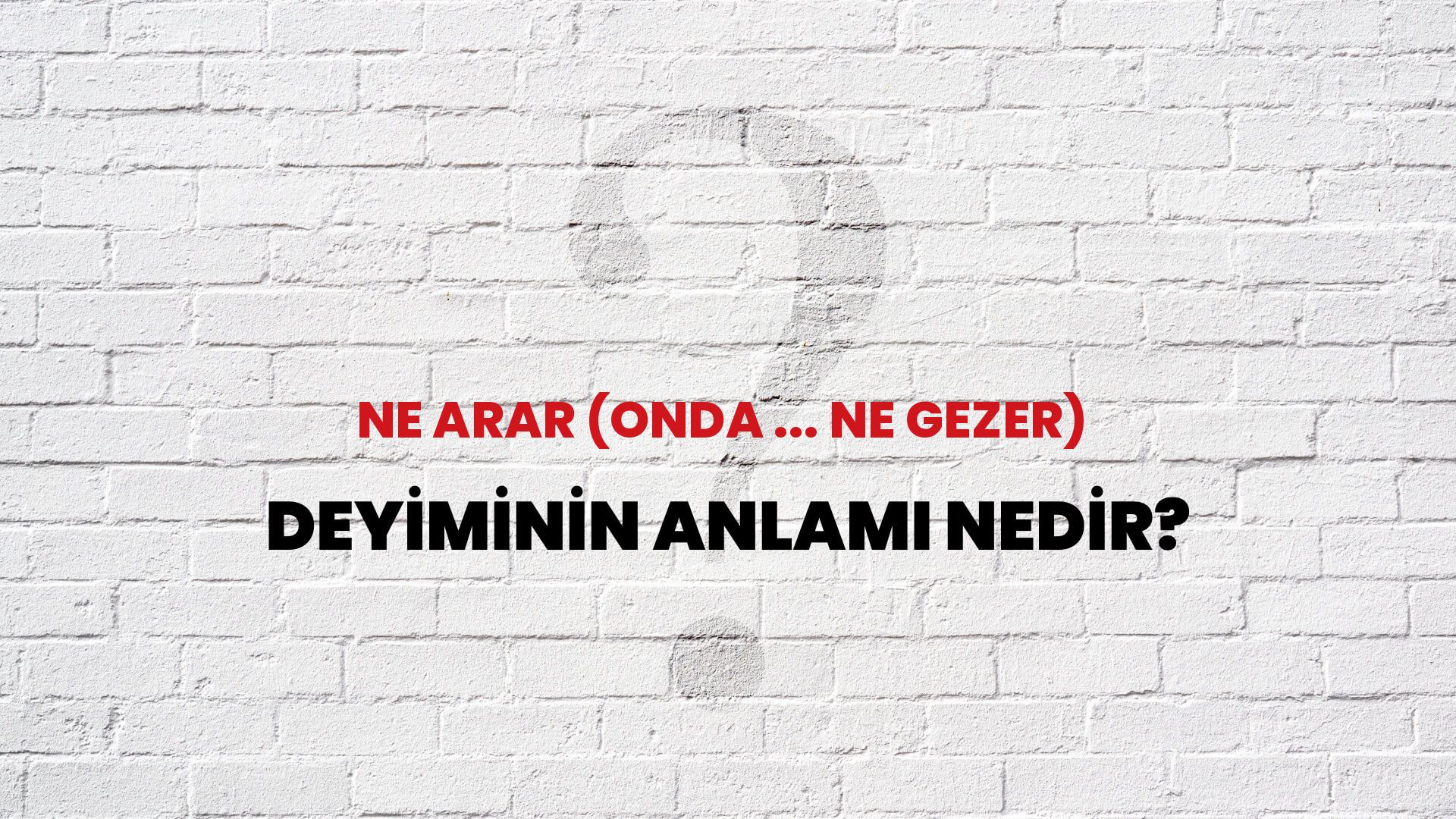 Ne Arar (Onda ... Ne Gezer) Deyiminin Anlamı Nedir?