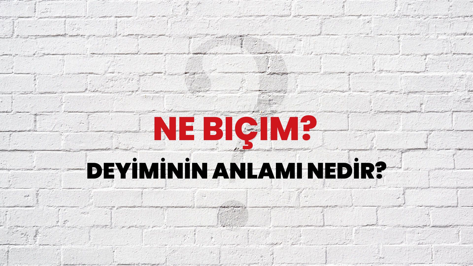 Ne Biçim? Deyiminin Anlamı Nedir?