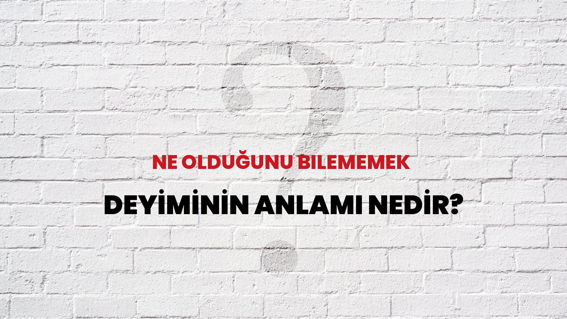 Ne Olduğunu Bilememek Deyiminin Anlamı Nedir?