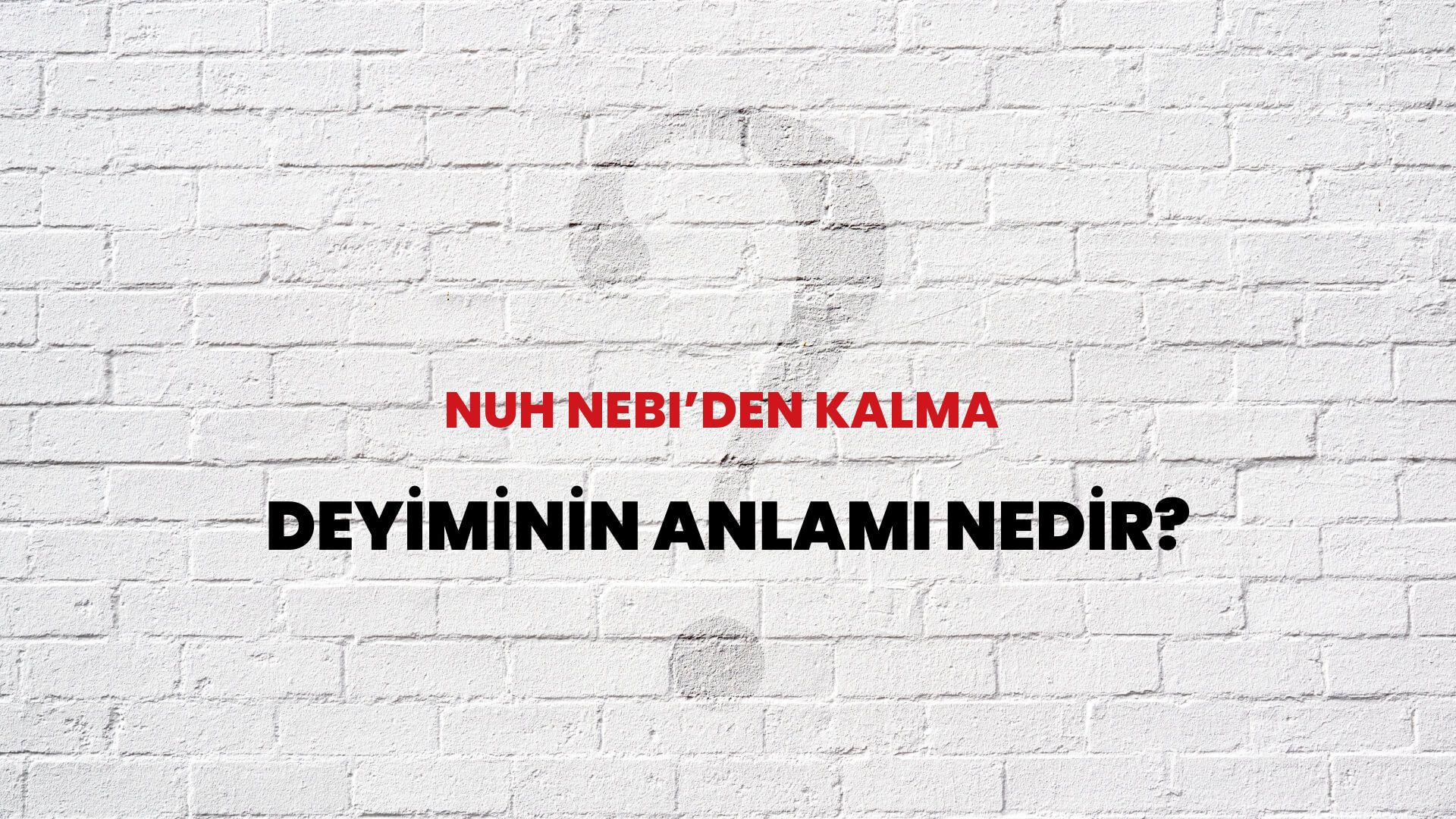 Nuh Nebi’den Kalma Deyiminin Anlamı Nedir?