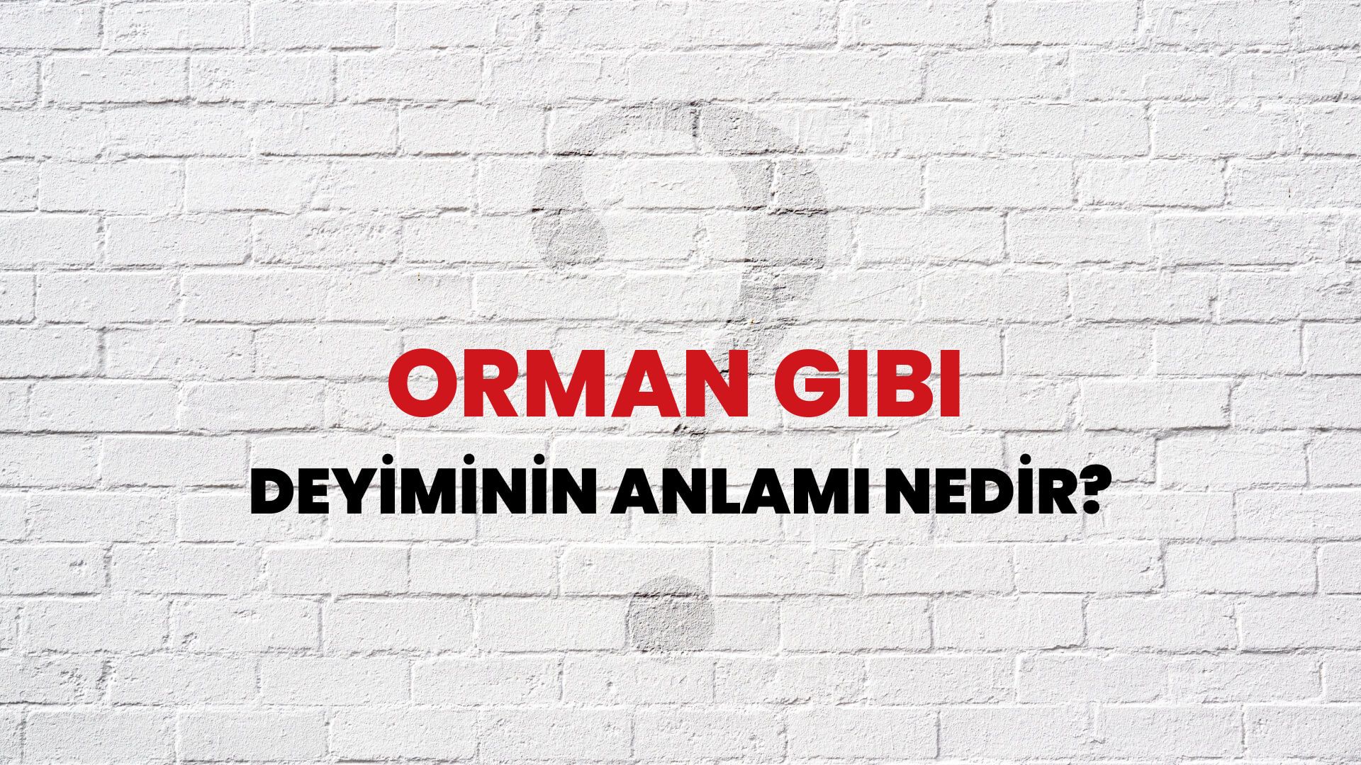 Orman Gibi Deyiminin Anlamı Nedir?
