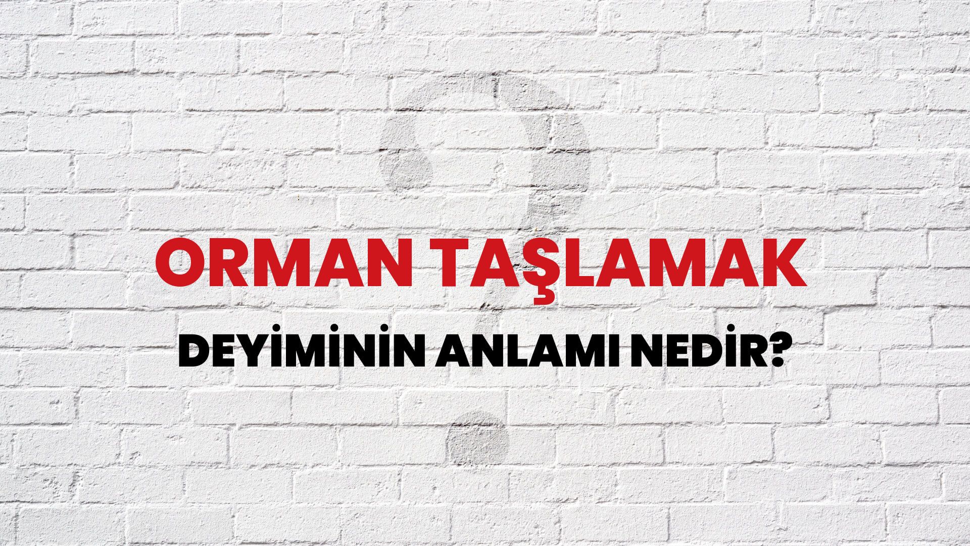 Orman Taşlamak Deyiminin Anlamı Nedir?