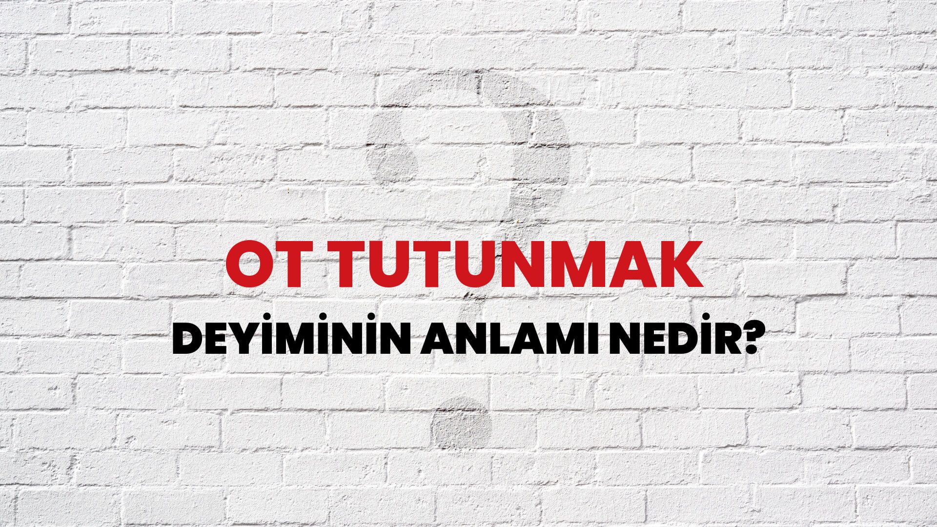 Ot Tutunmak Deyiminin Anlamı Nedir?