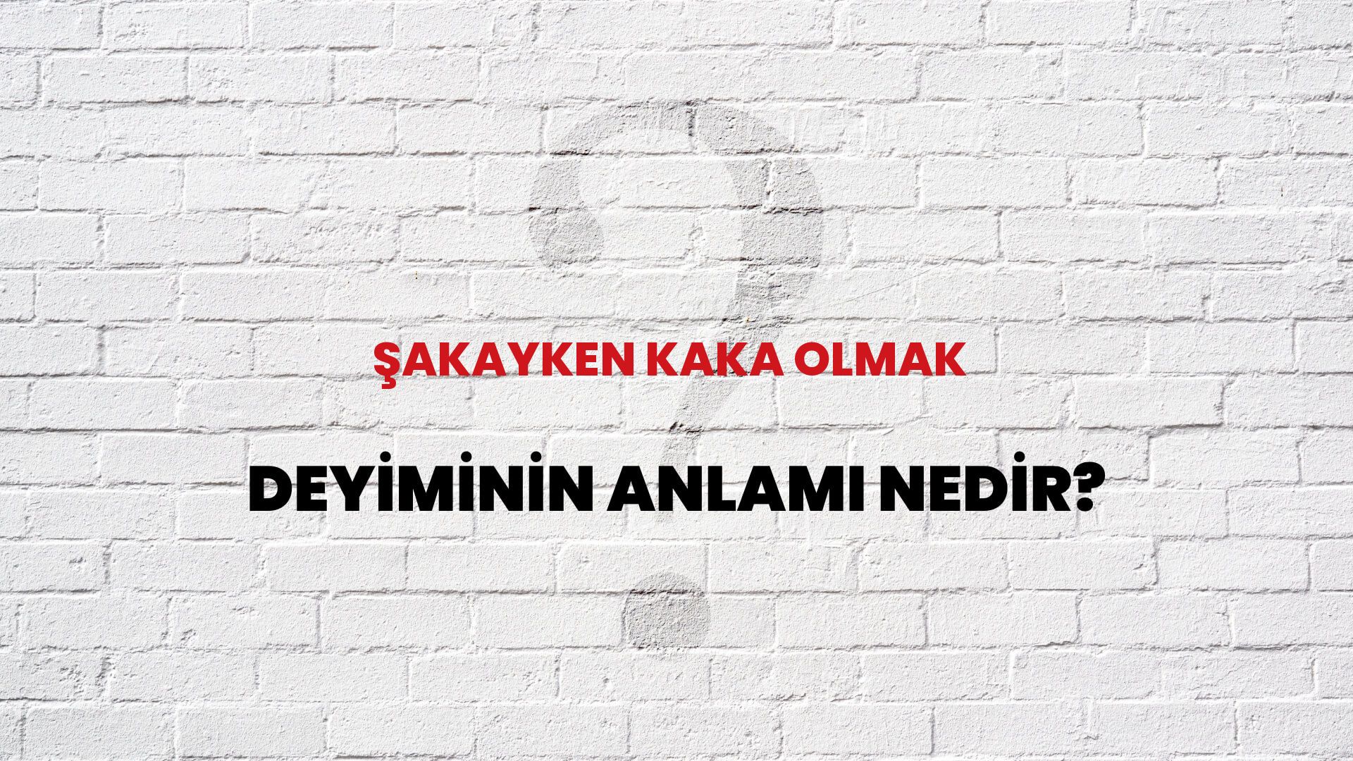 Şakayken Kaka Olmak Deyiminin Anlamı Nedir?