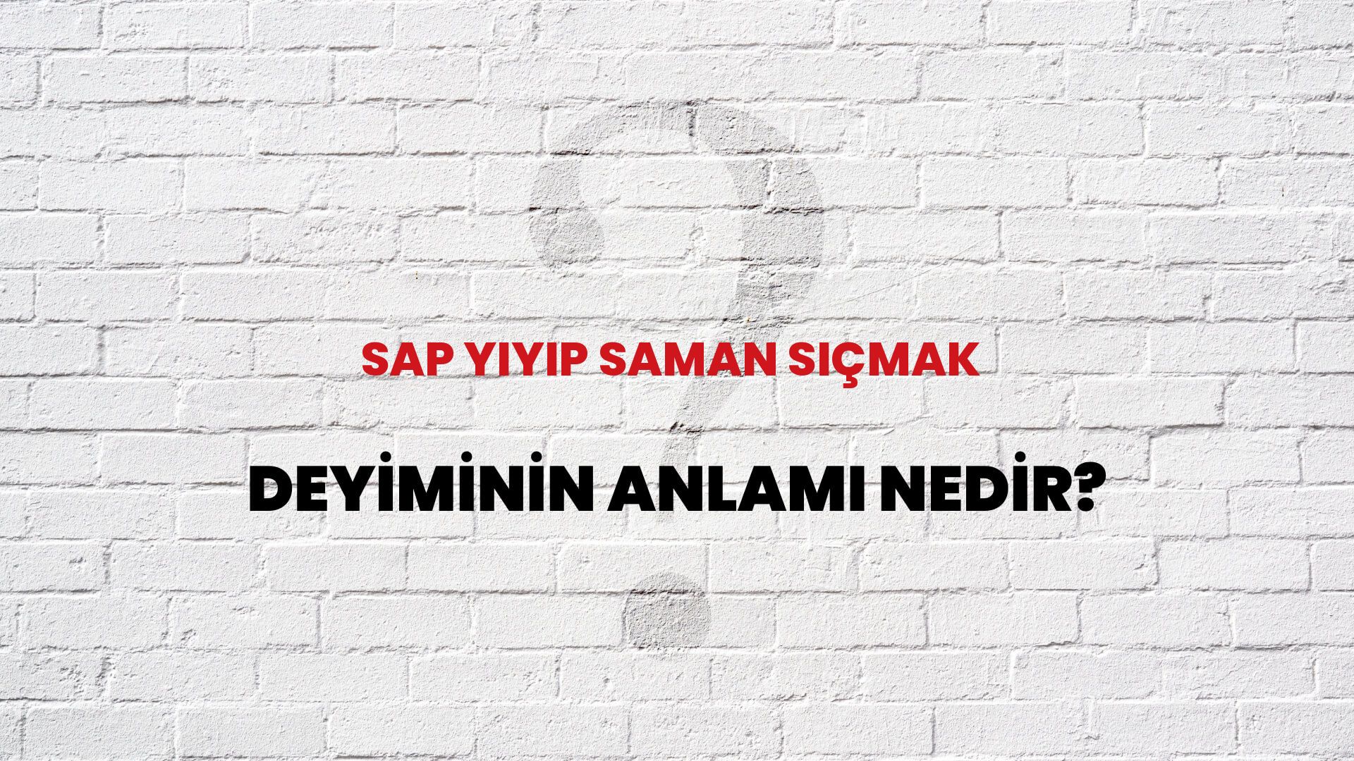 sap-yiyip-saman-s-mak-deyiminin-anlam-nedir-habert-rk