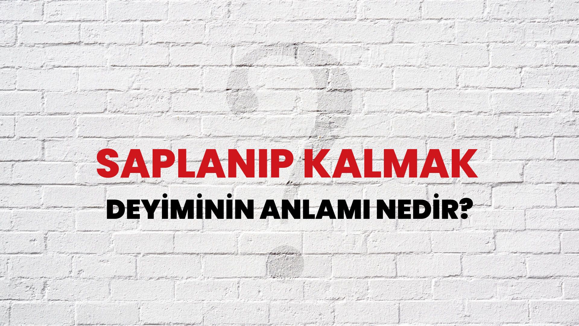 Saplanıp Kalmak Deyiminin Anlamı Nedir?