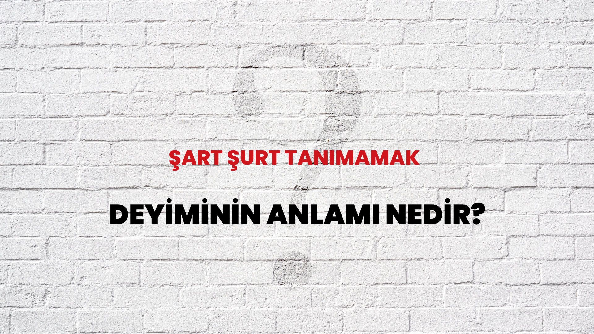 Şart Şurt Tanımamak Deyiminin Anlamı Nedir?