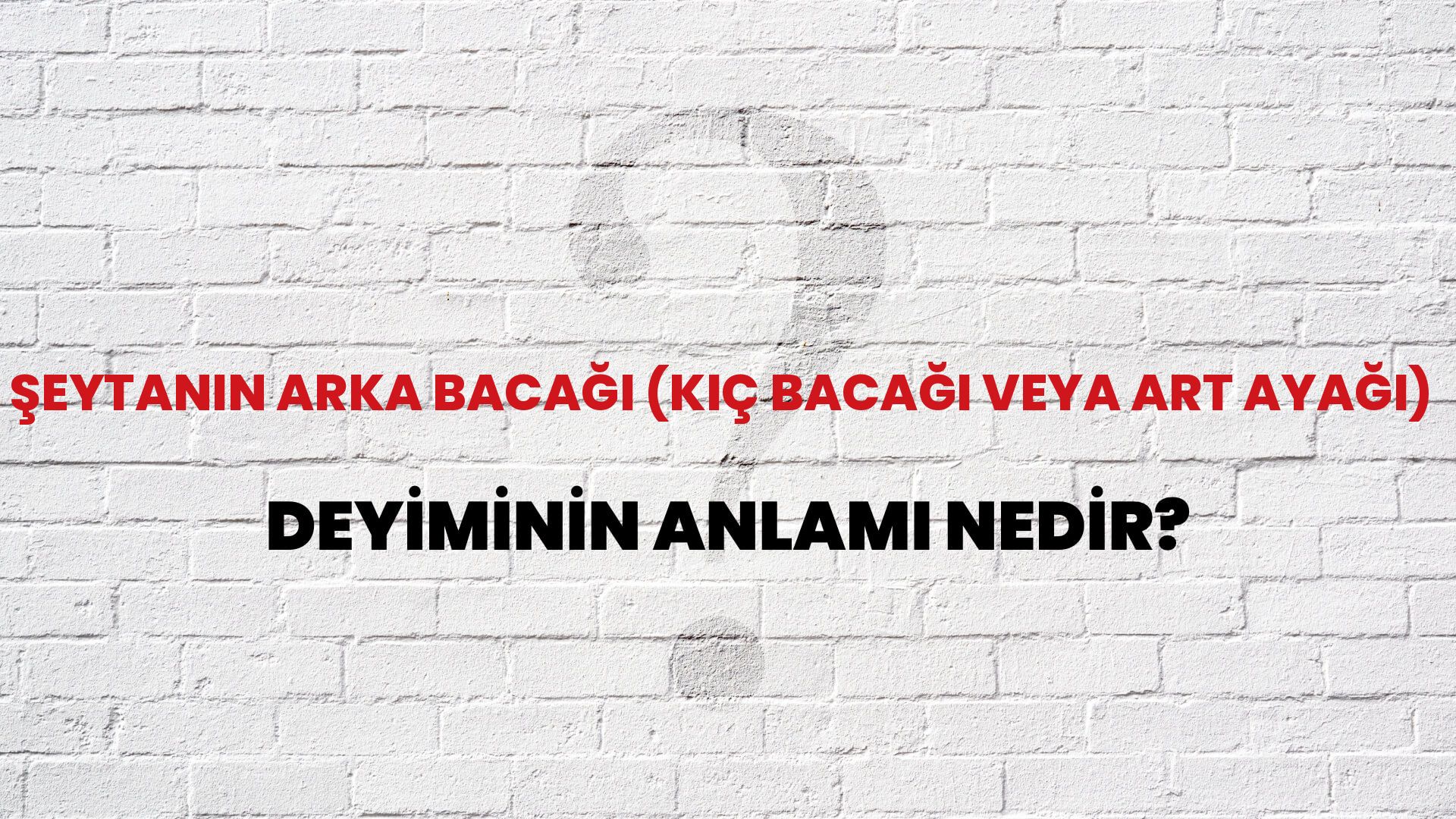 Şeytanın Arka Bacağı (Kıç Bacağı Veya Art Ayağı) Deyiminin Anlamı Nedir?