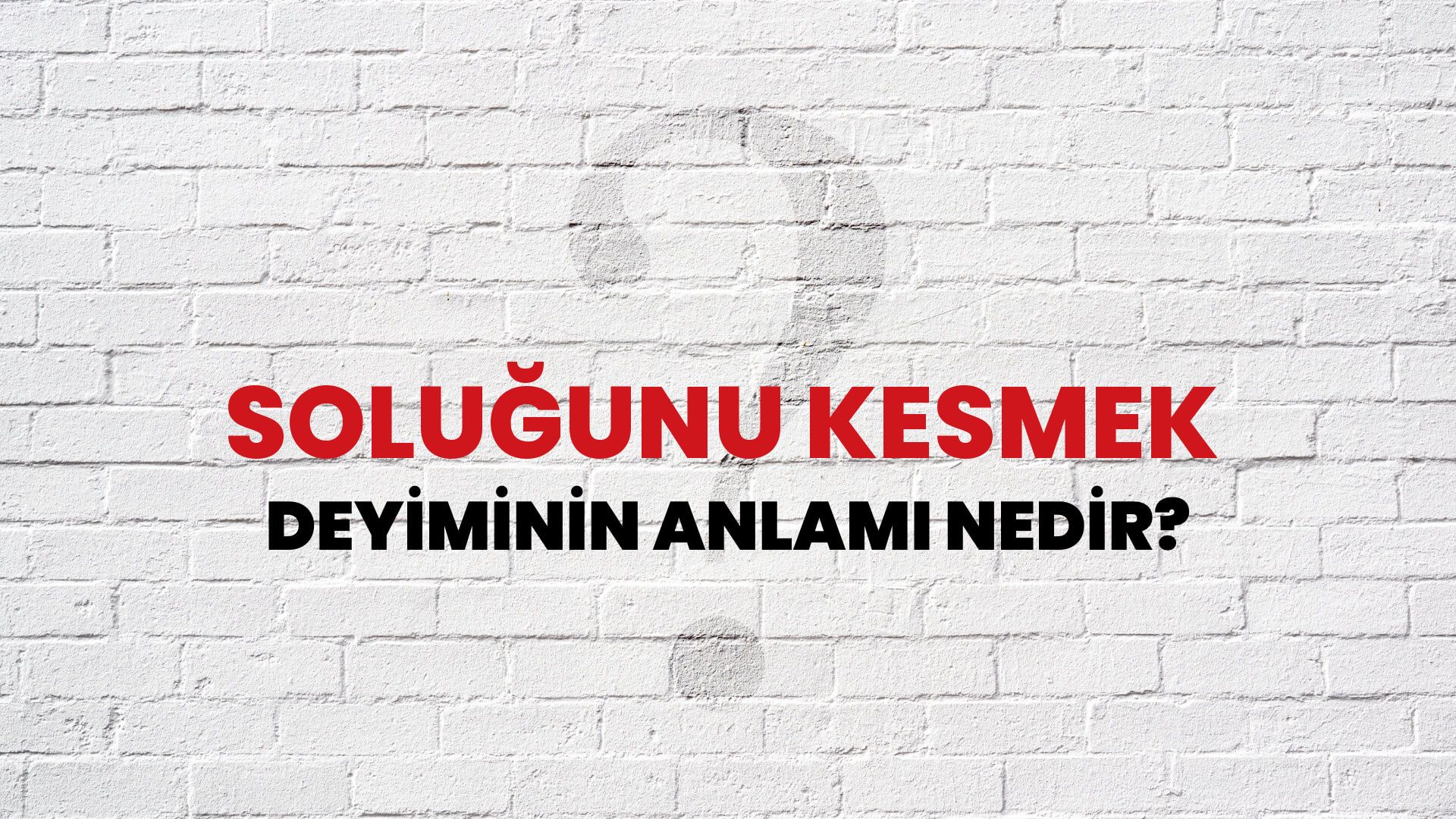 Soluğunu Kesmek Deyiminin Anlamı Nedir?