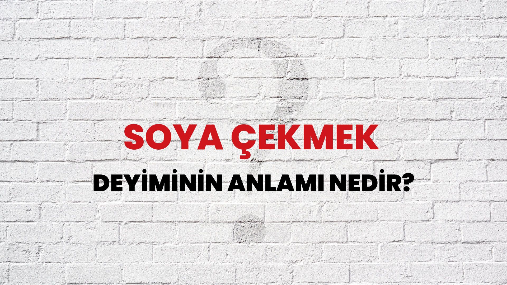 Soya Çekmek Deyiminin Anlamı Nedir?
