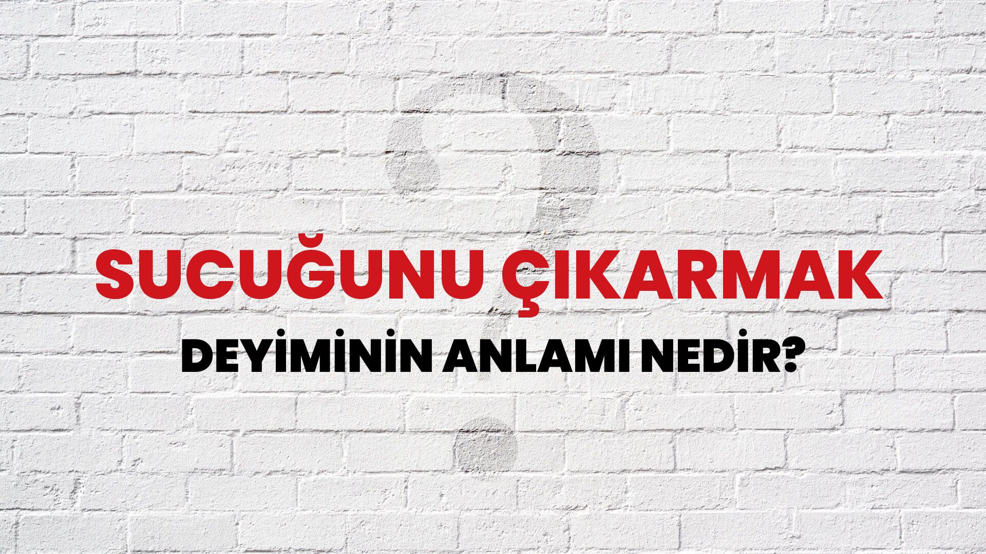 Sucuğunu Çıkarmak Deyiminin Anlamı Nedir?