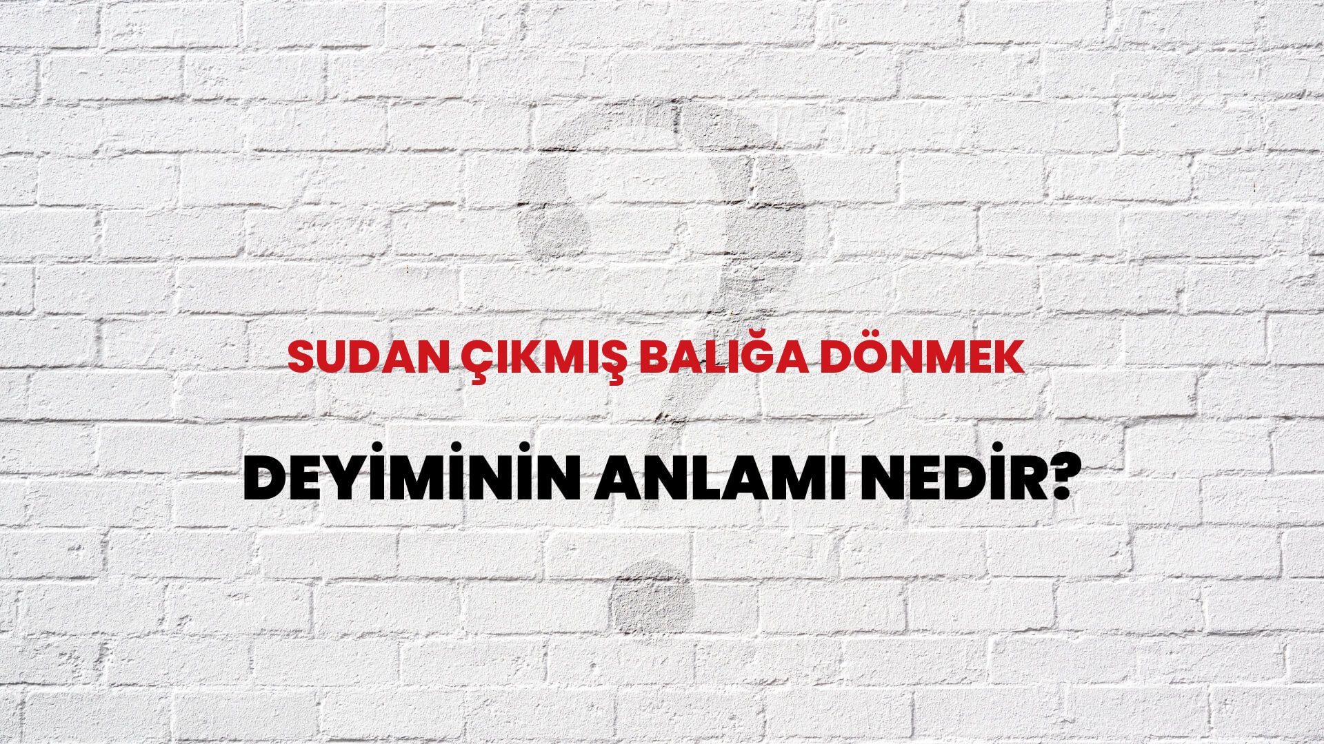 Sudan Çıkmış Balığa Dönmek Deyiminin Anlamı Nedir?