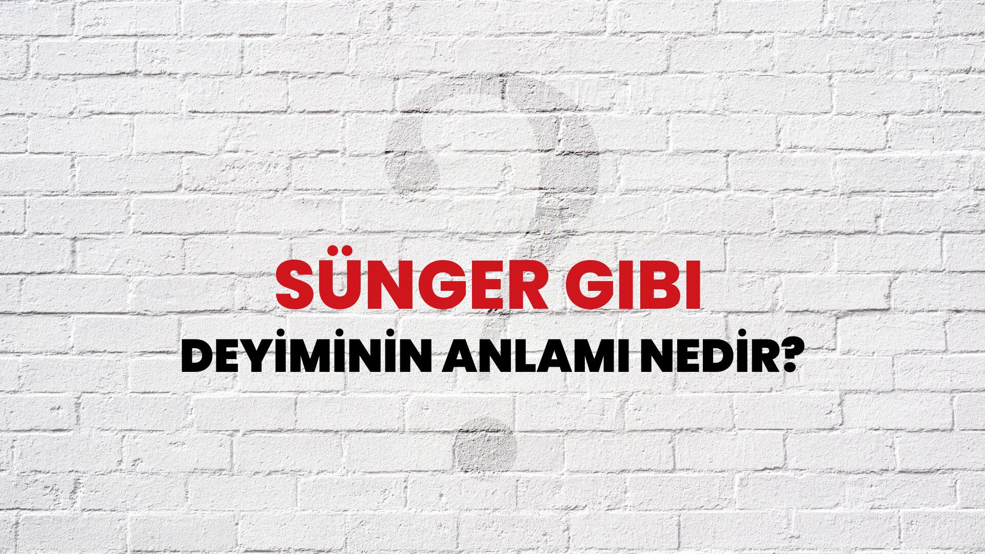 Sünger Gibi Deyiminin Anlamı Nedir?