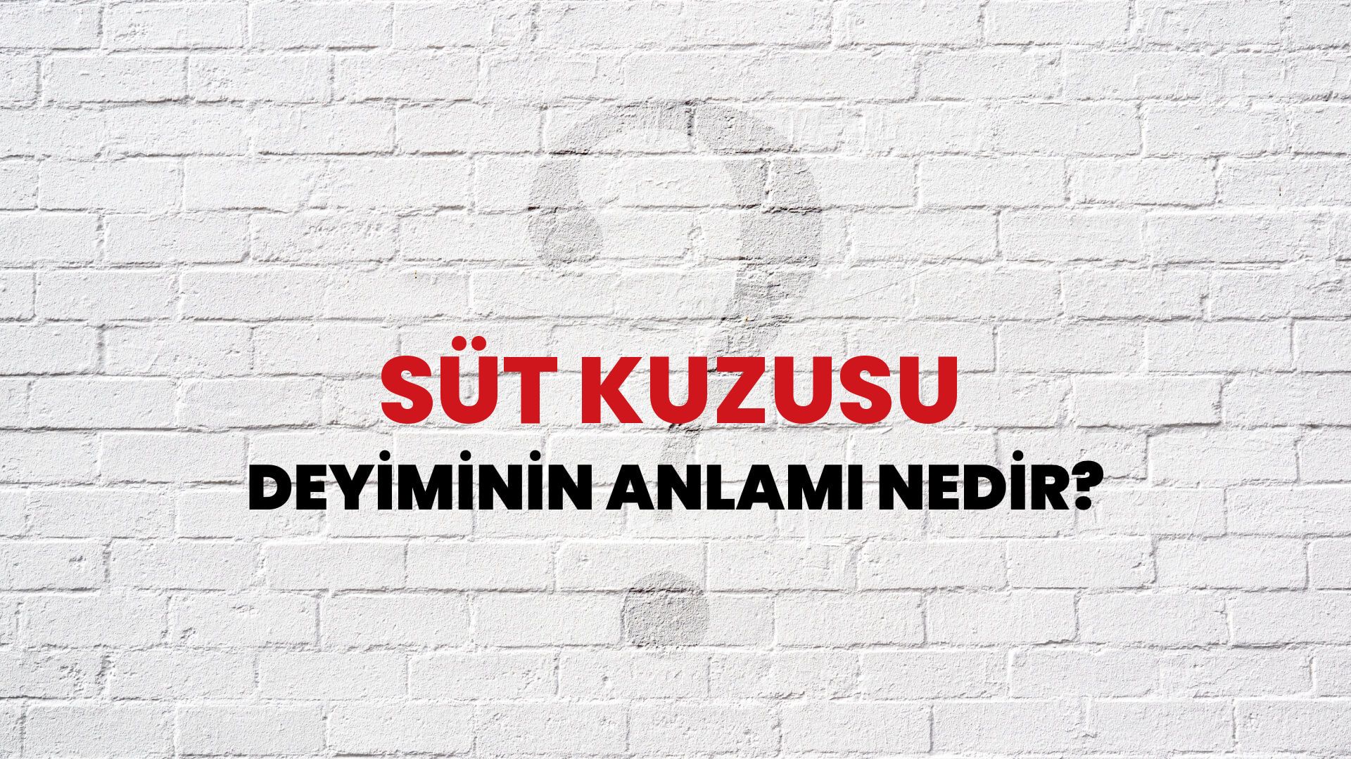 Süt Kuzusu Deyiminin Anlamı Nedir?