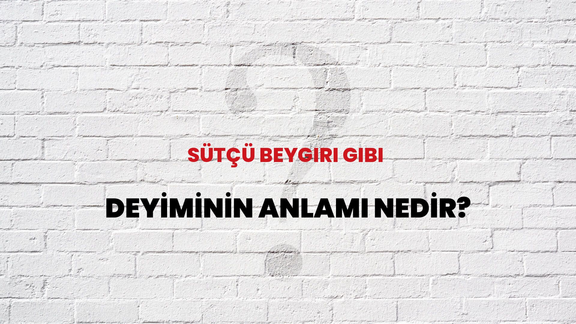 Sütçü Beygiri Gibi Deyiminin Anlamı Nedir?