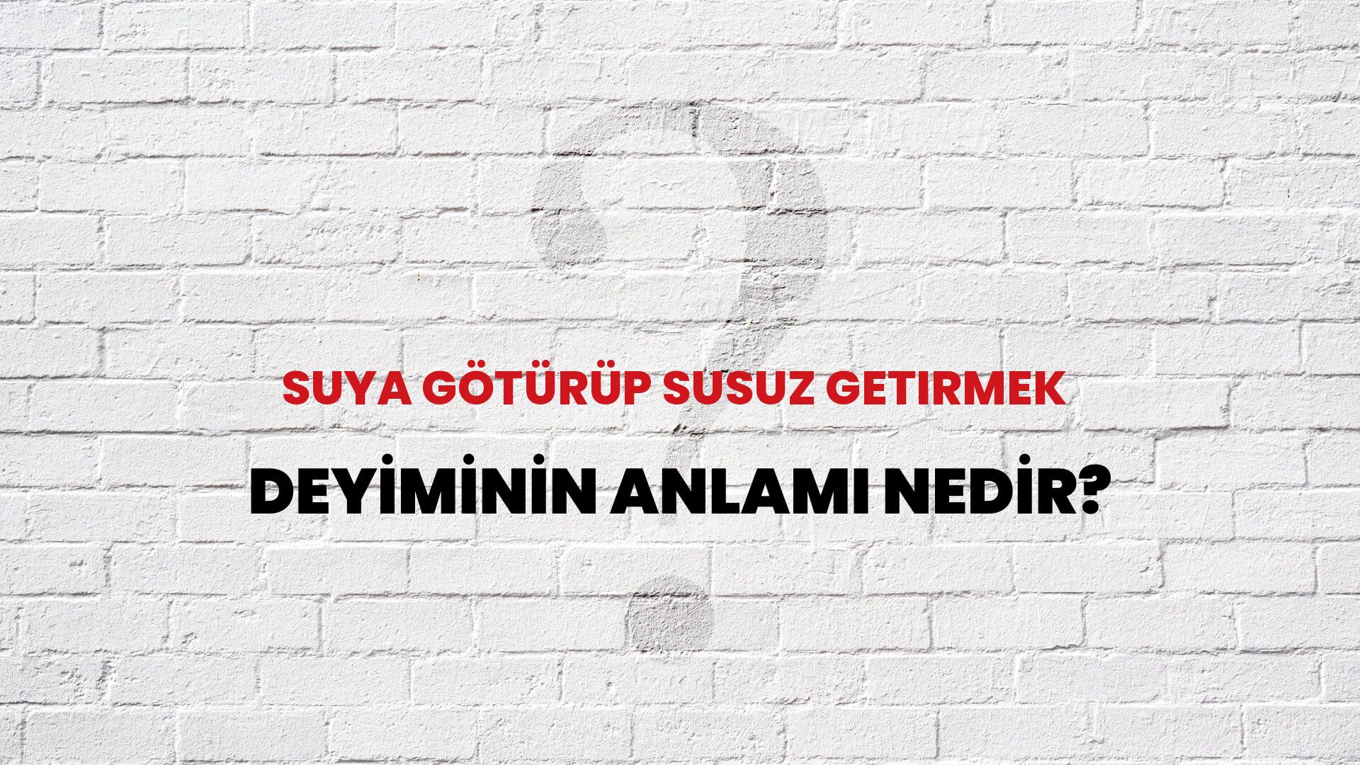Suya Götürüp Susuz Getirmek Deyiminin Anlamı Nedir?