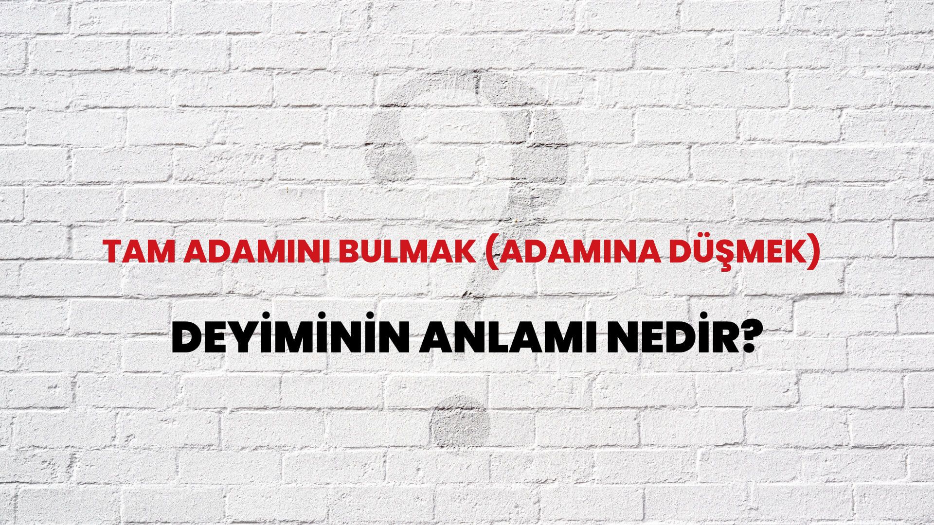 Tam Adamını Bulmak (Adamına Düşmek) Deyiminin Anlamı Nedir?