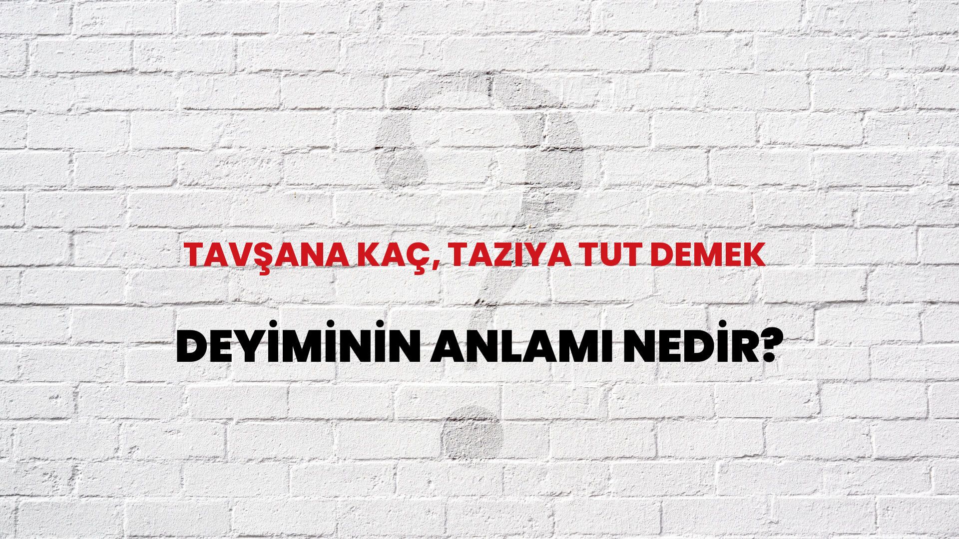 Tavşana Kaç, Tazıya Tut Demek Deyiminin Anlamı Nedir?