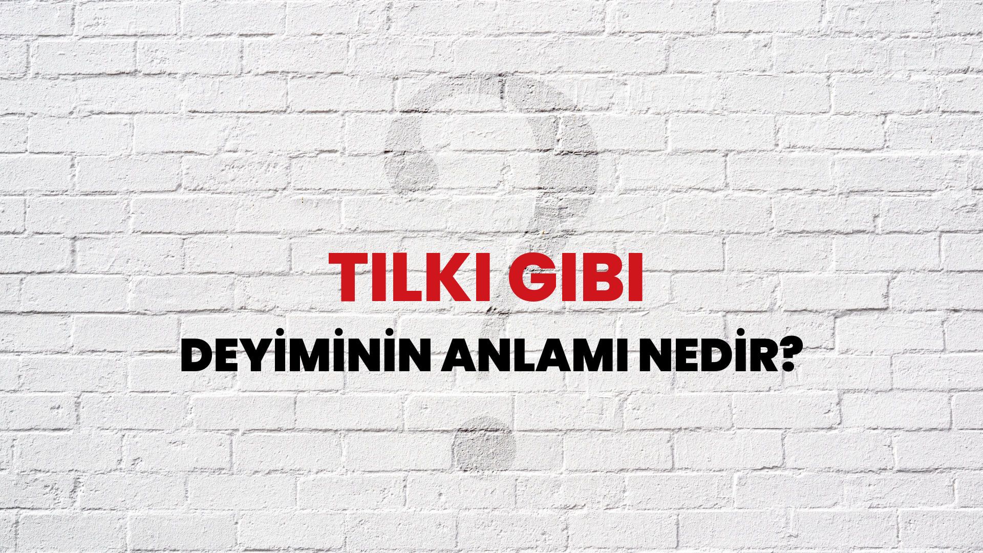 Tilki Gibi Deyiminin Anlamı Nedir?