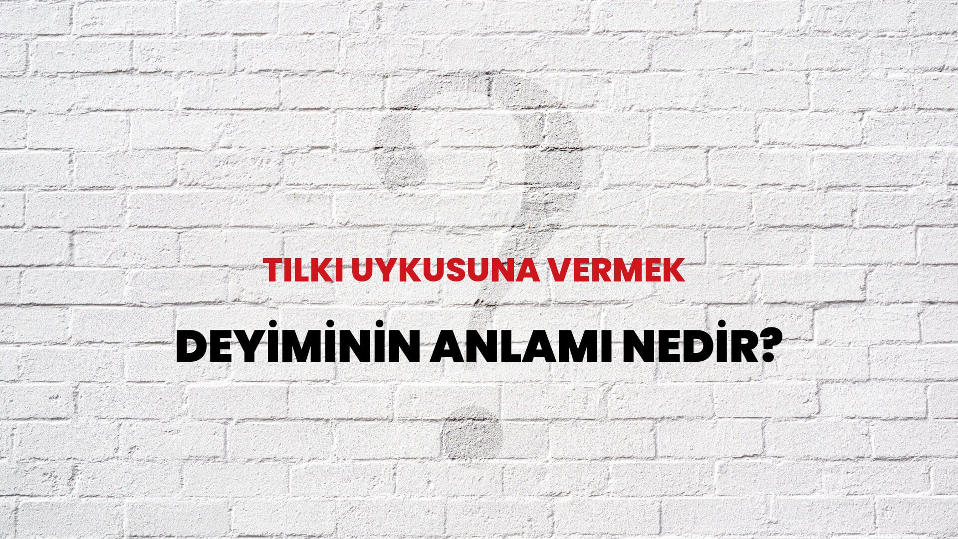 Tilki Uykusuna Vermek Deyiminin Anlamı Nedir?