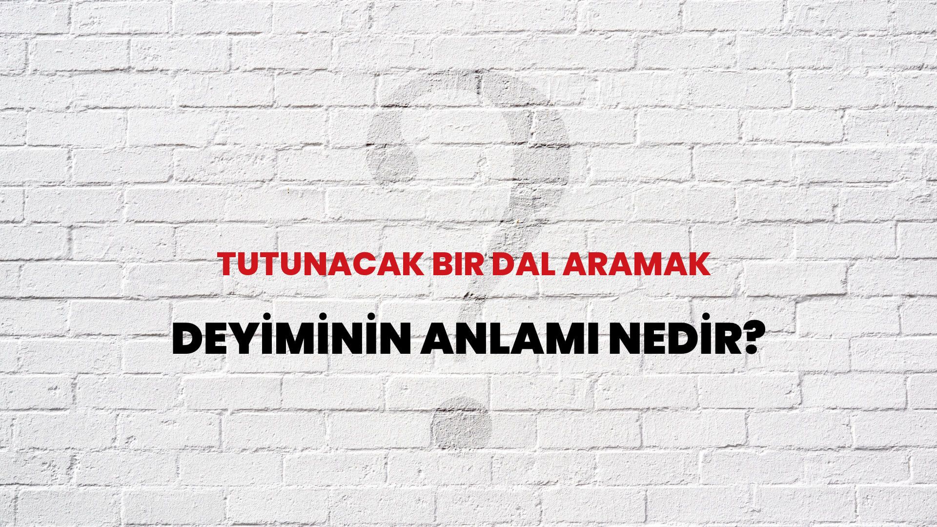 Tutunacak Bir Dal Aramak Deyiminin Anlamı Nedir?