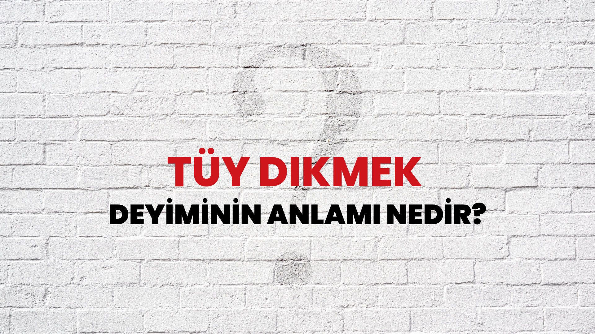 Tüy Dikmek Deyiminin Anlamı Nedir?