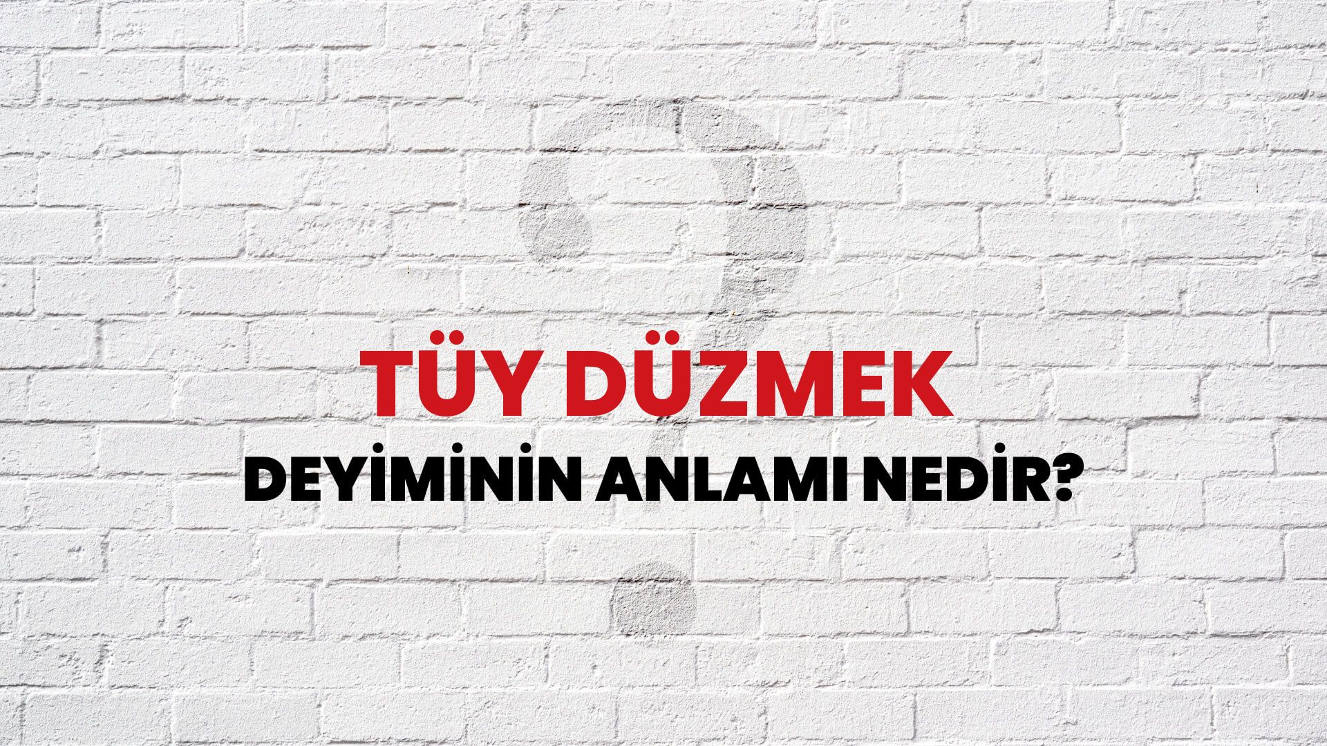Tüy Düzmek Deyiminin Anlamı Nedir?