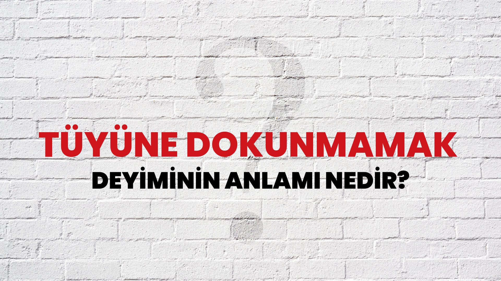Tüyüne Dokunmamak Deyiminin Anlamı Nedir?