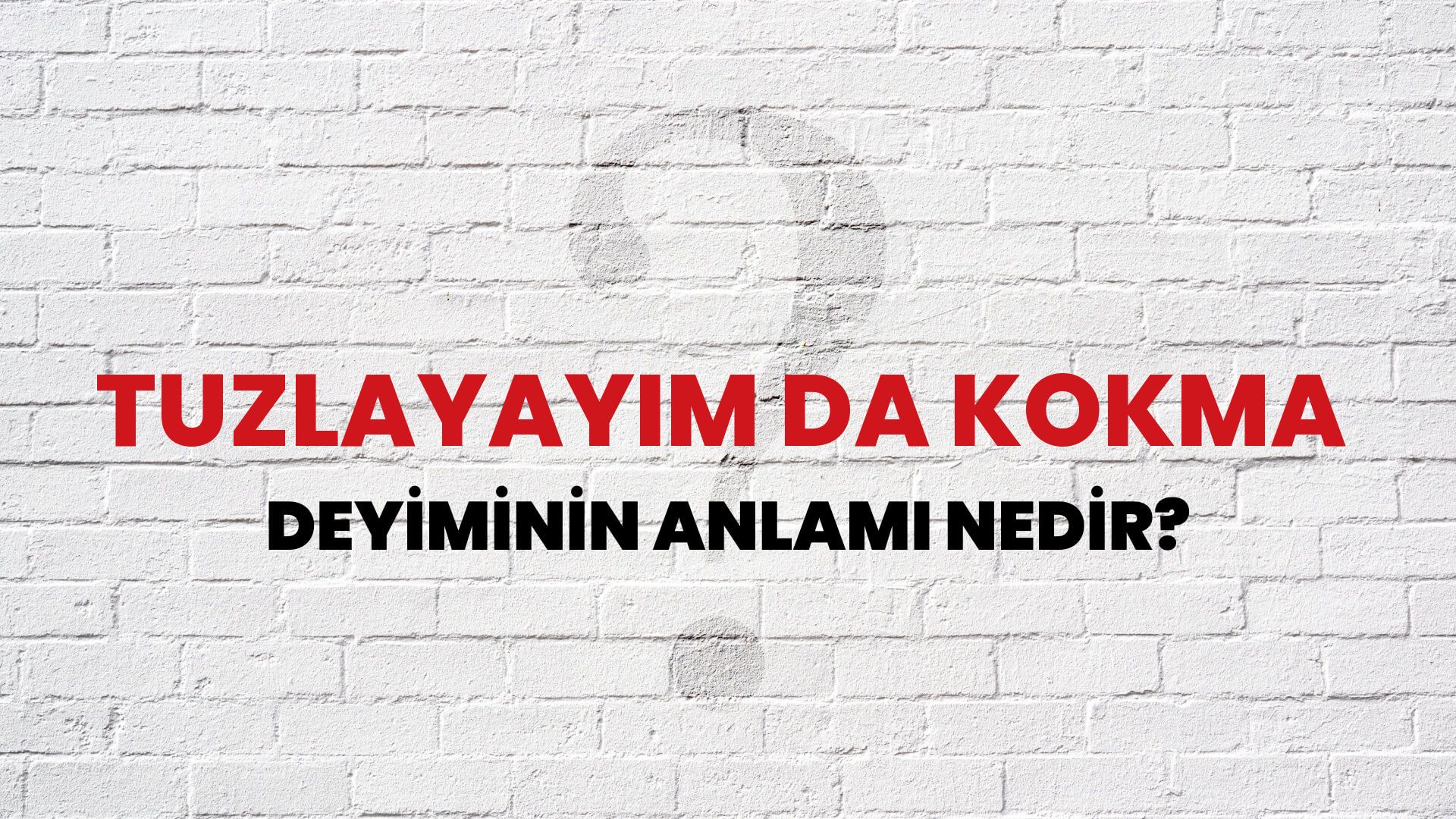 Tuzlayayım Da Kokma Deyiminin Anlamı Nedir?