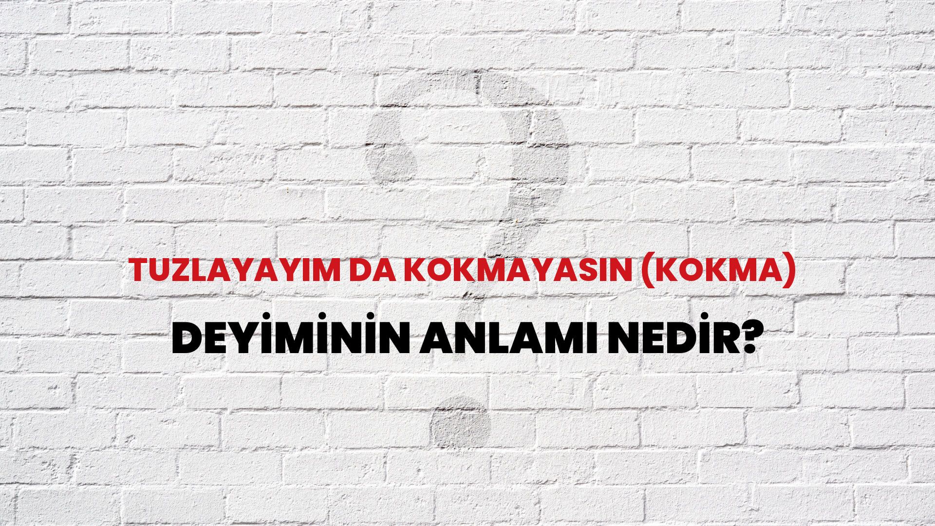 Tuzlayayım Da Kokmayasın (Kokma) Deyiminin Anlamı Nedir?
