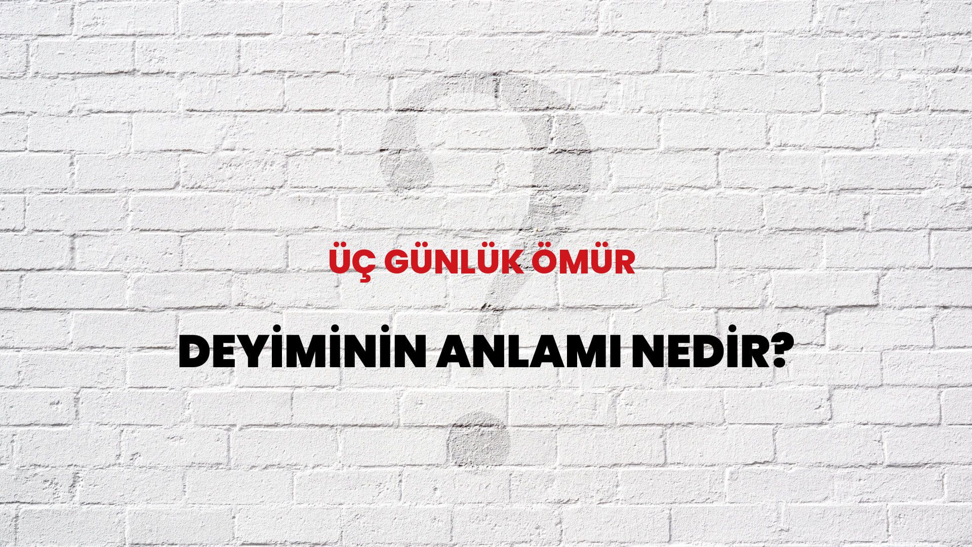Üç Günlük Ömür Deyiminin Anlamı Nedir?